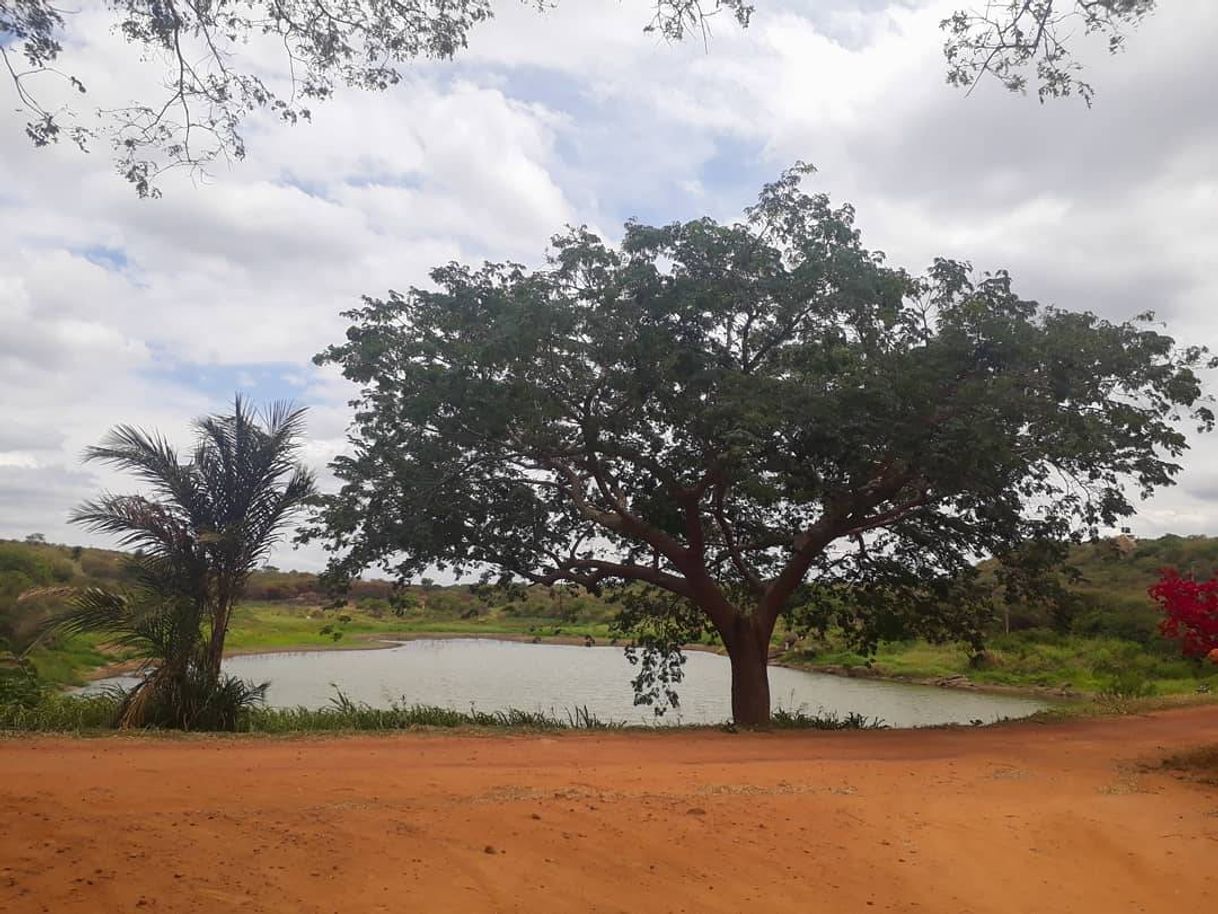 Place Pico do Jabre