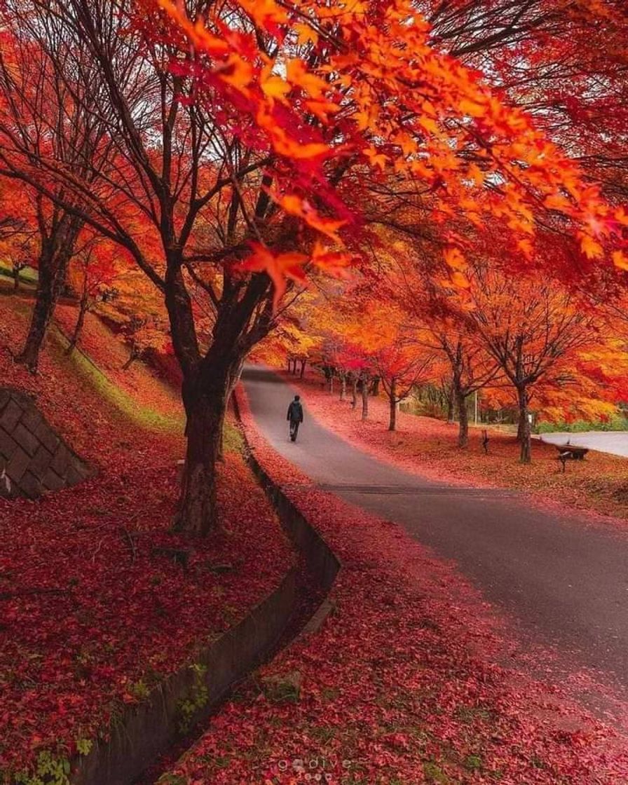 Fashion Nagano, Japão 🍁