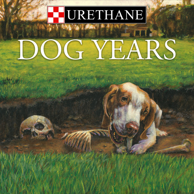 Music Dog Years