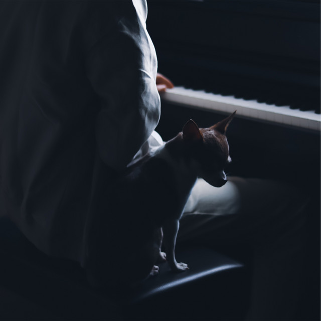 Music Idea 22