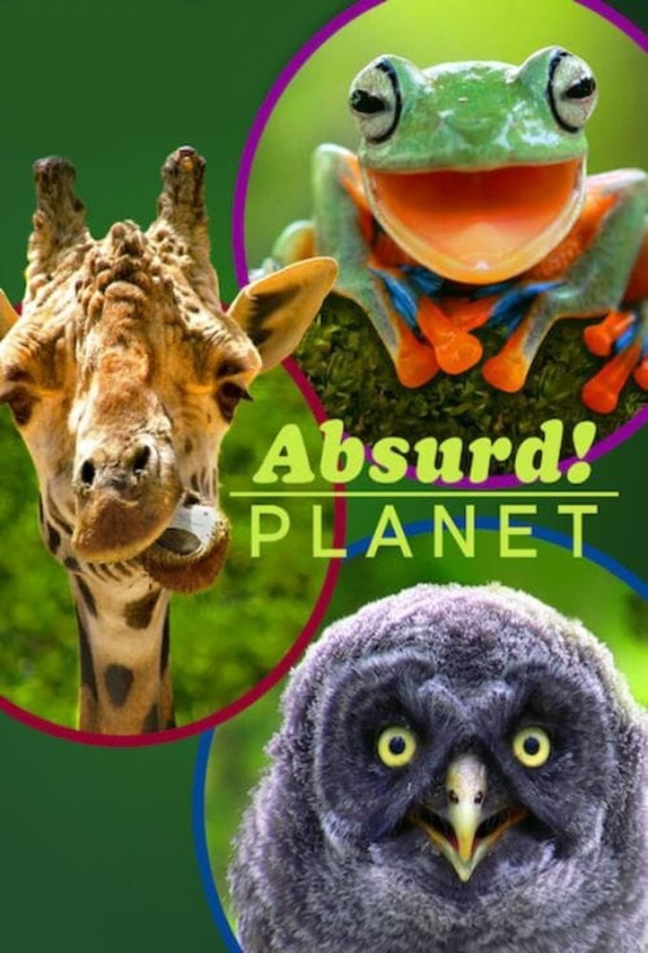 Serie Un planeta absurdo