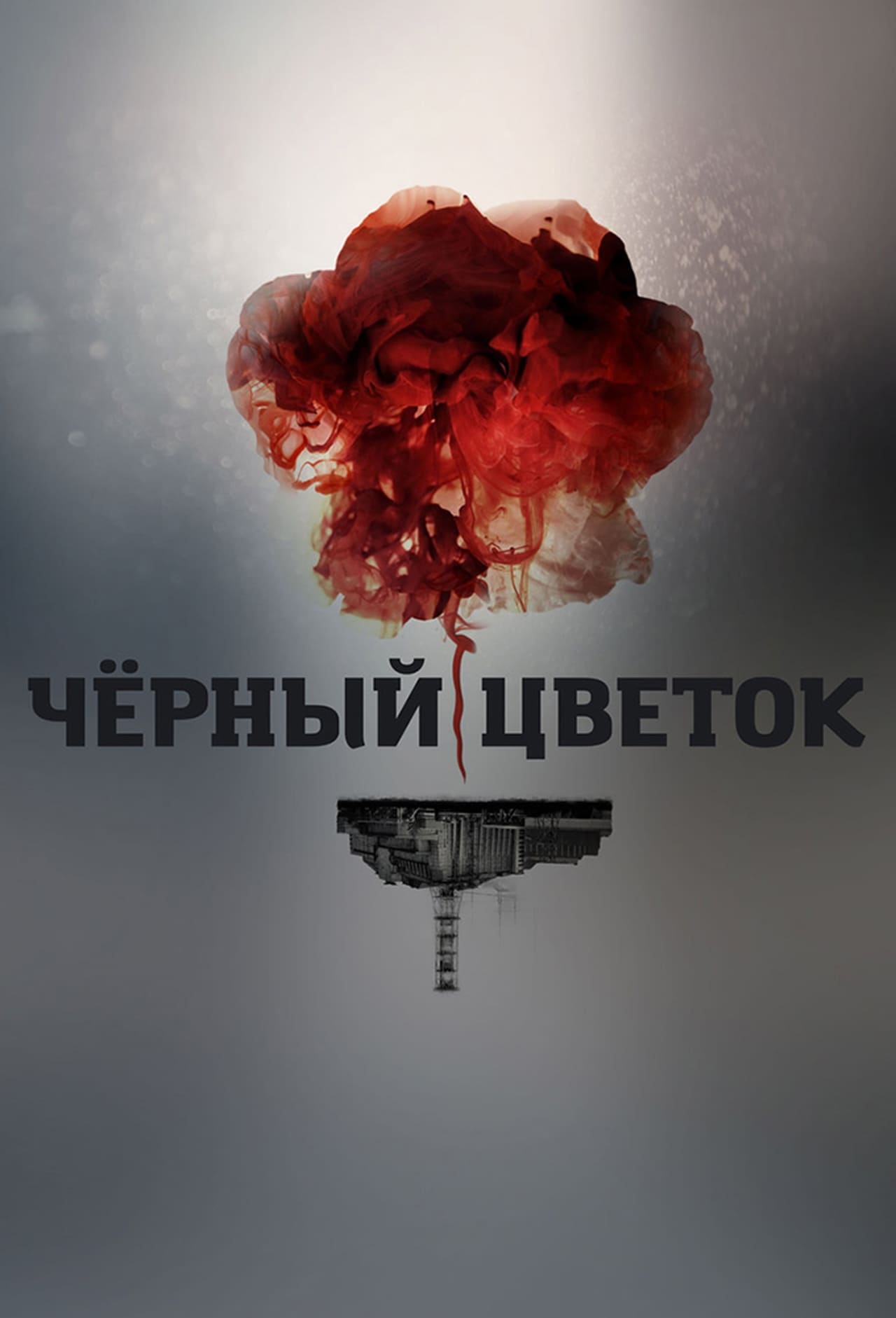 Serie Чёрный цветок