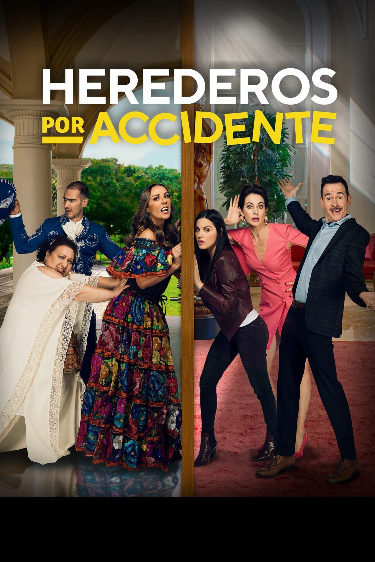 Serie Herederos por accidente