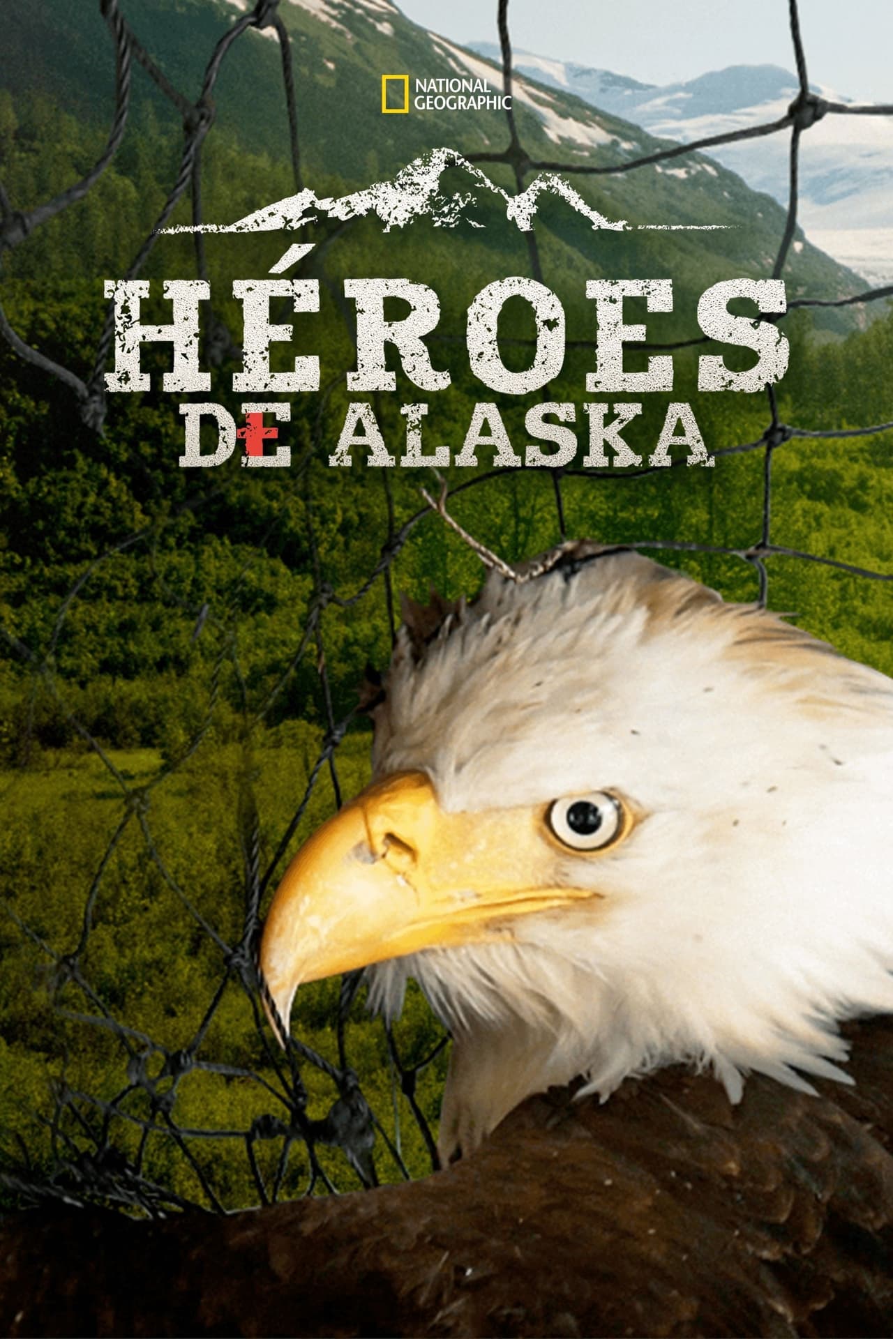 Series Alaska Animal Rescue