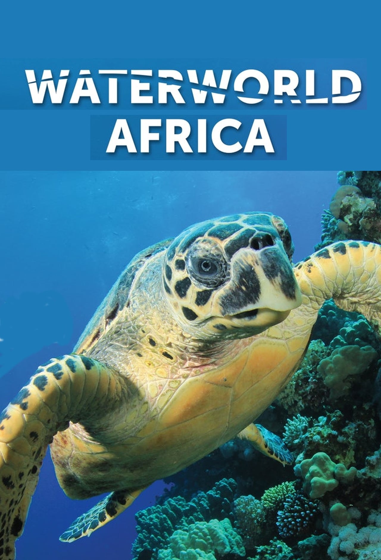 Serie Waterworld Africa