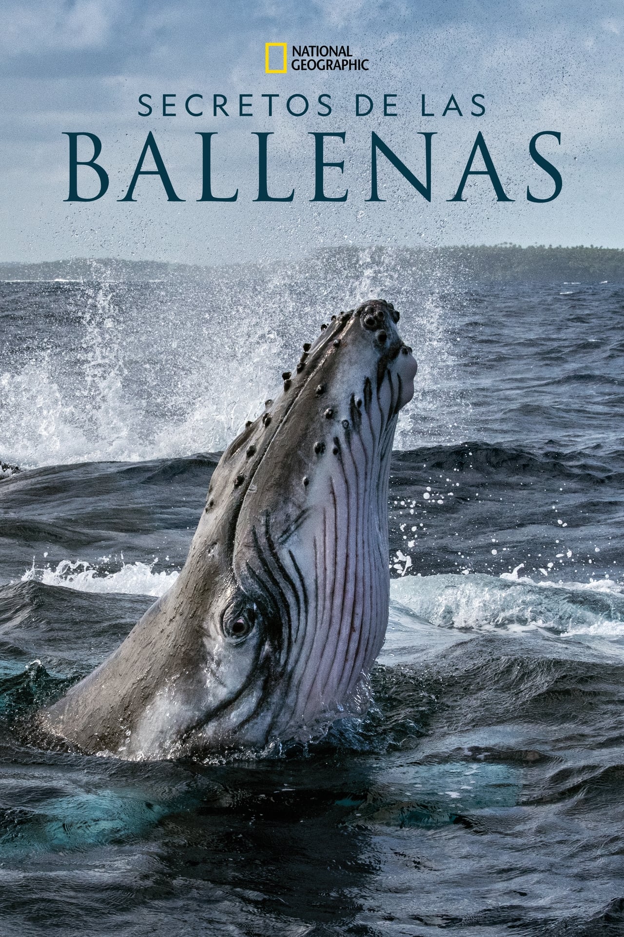 Serie Los Secretos de las ballenas