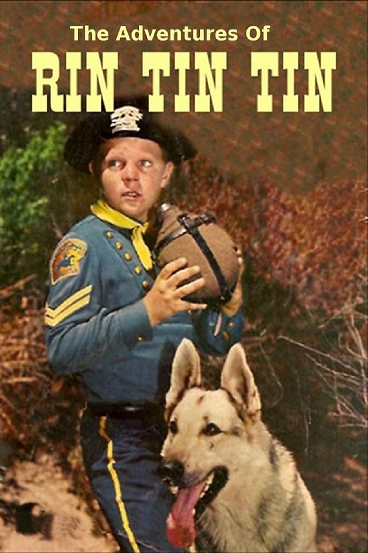 Serie Rin Tin Tin