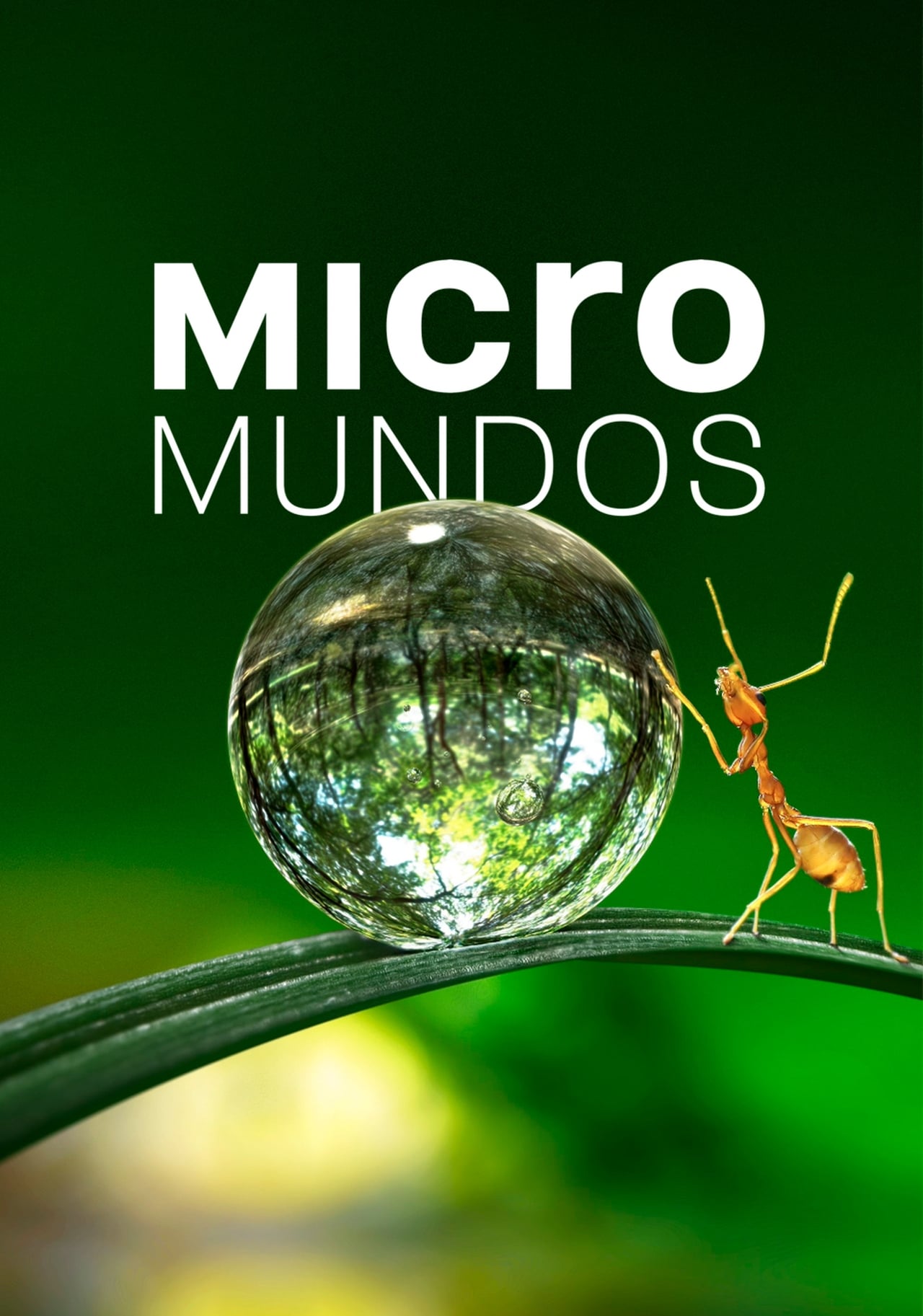 Series Micromundos