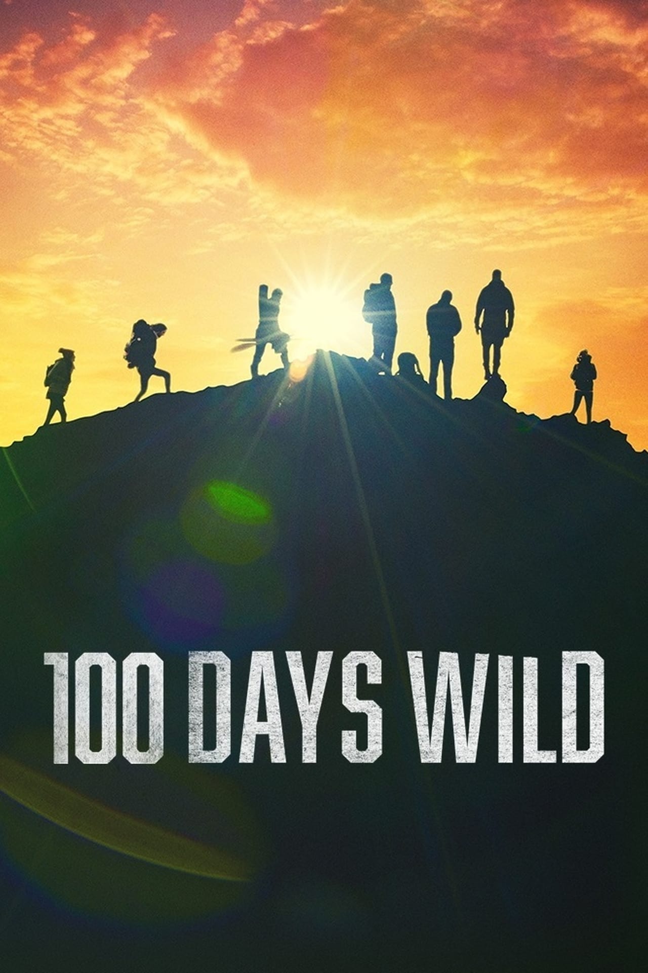 Series 100 Days Wild