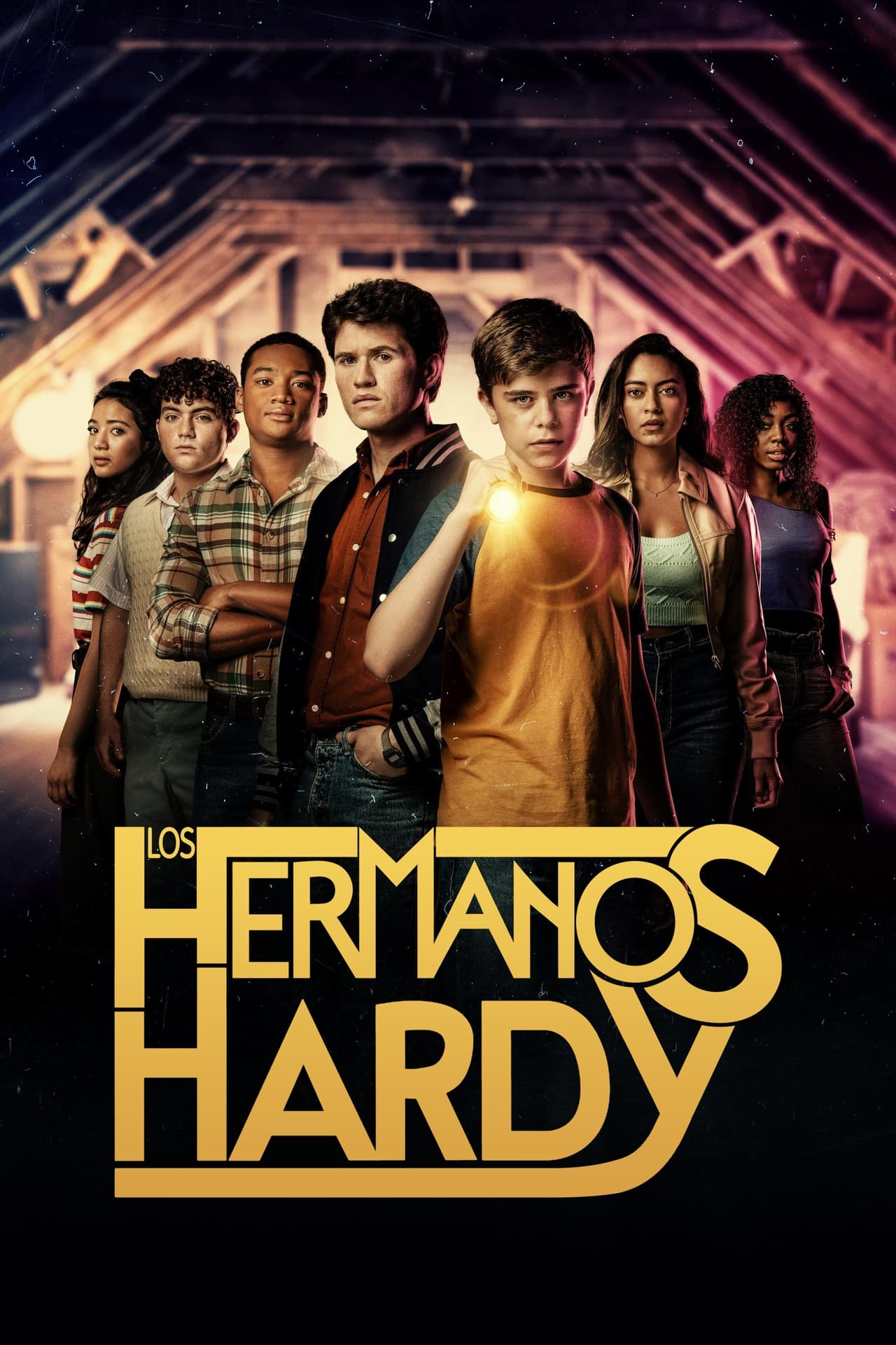 Series Los hermanos Hardy