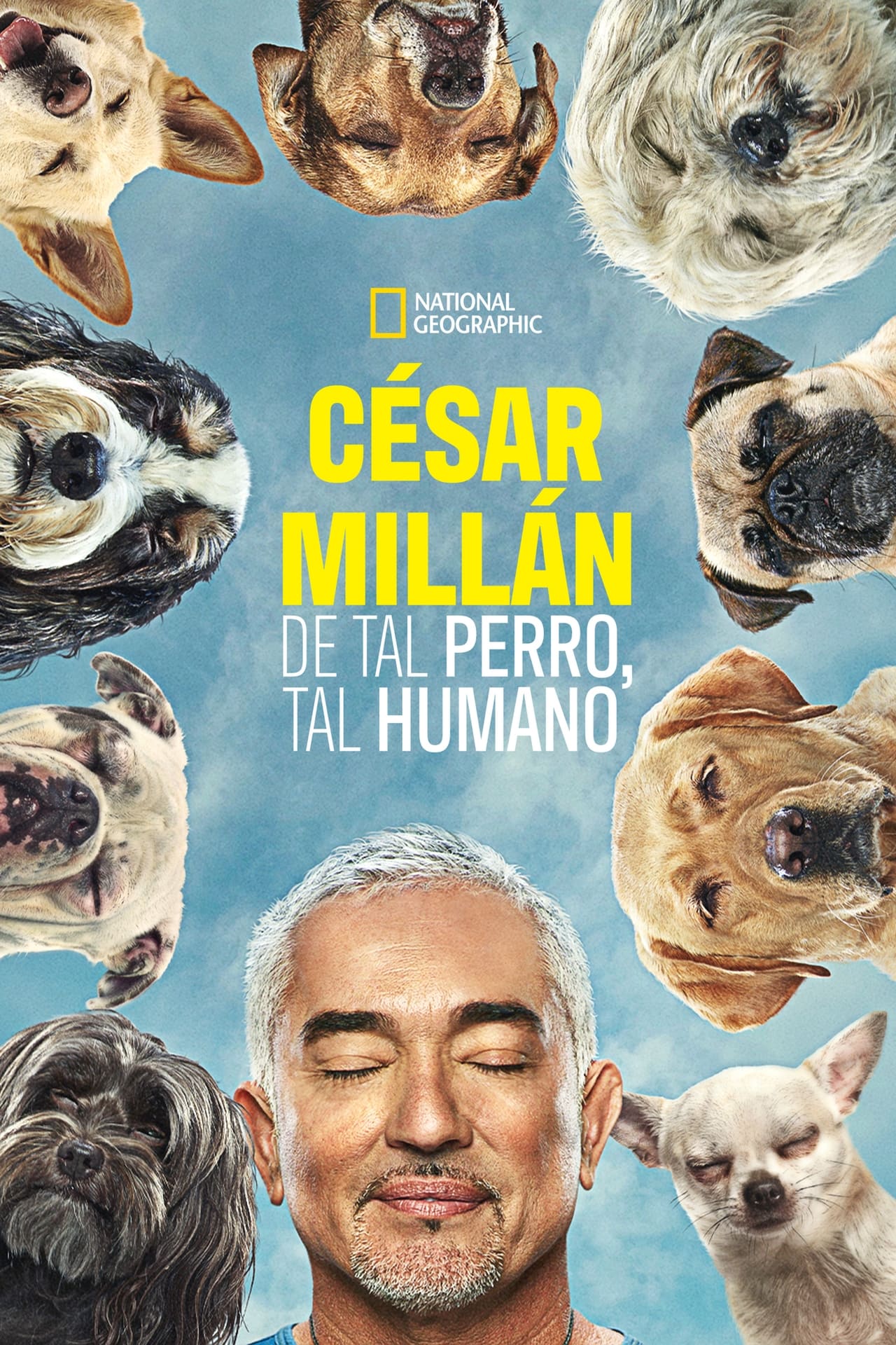 Serie Cesar Millan: Mejores Humanos, Mejores Perros