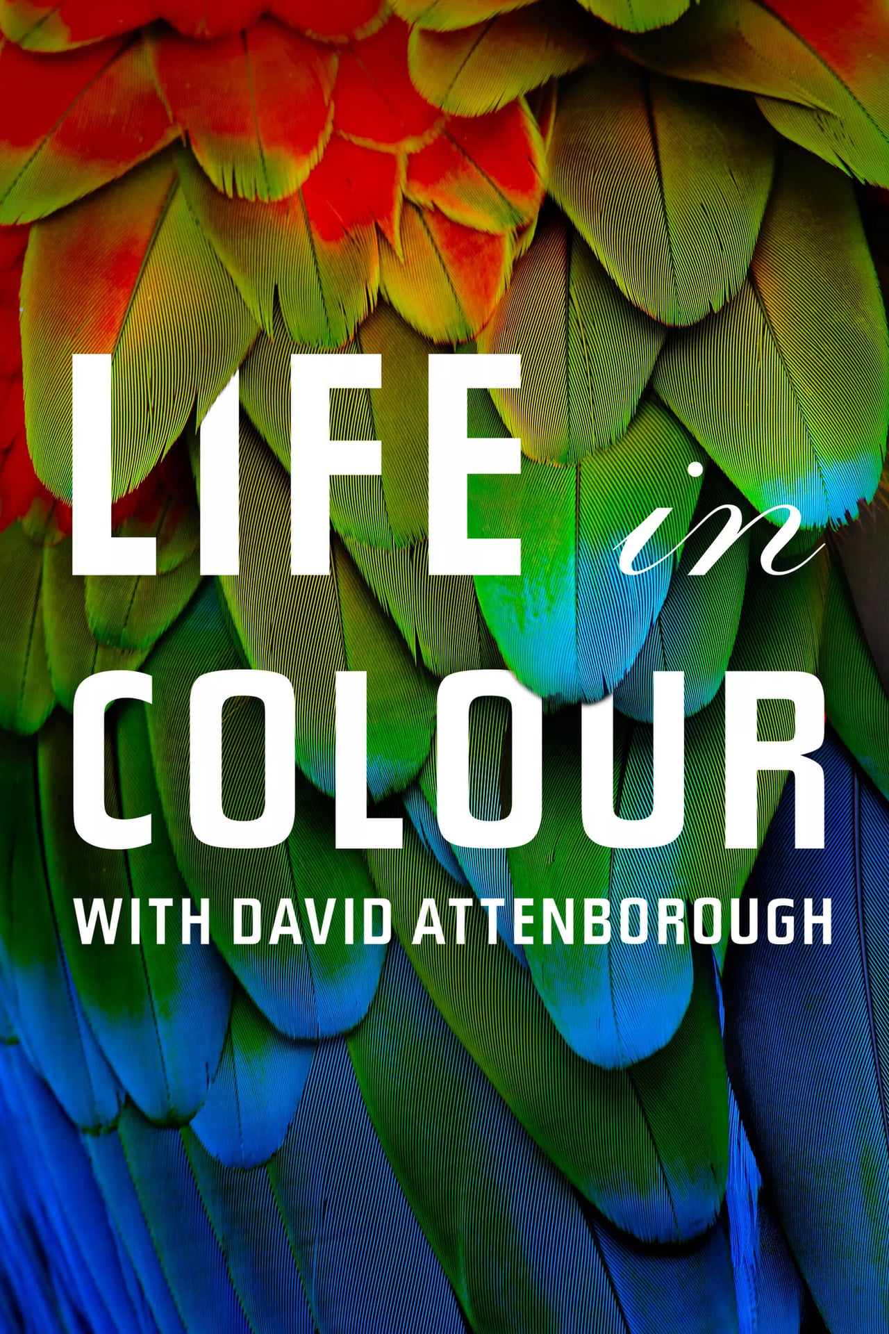 Series La vida a todo color, con David Attenborough