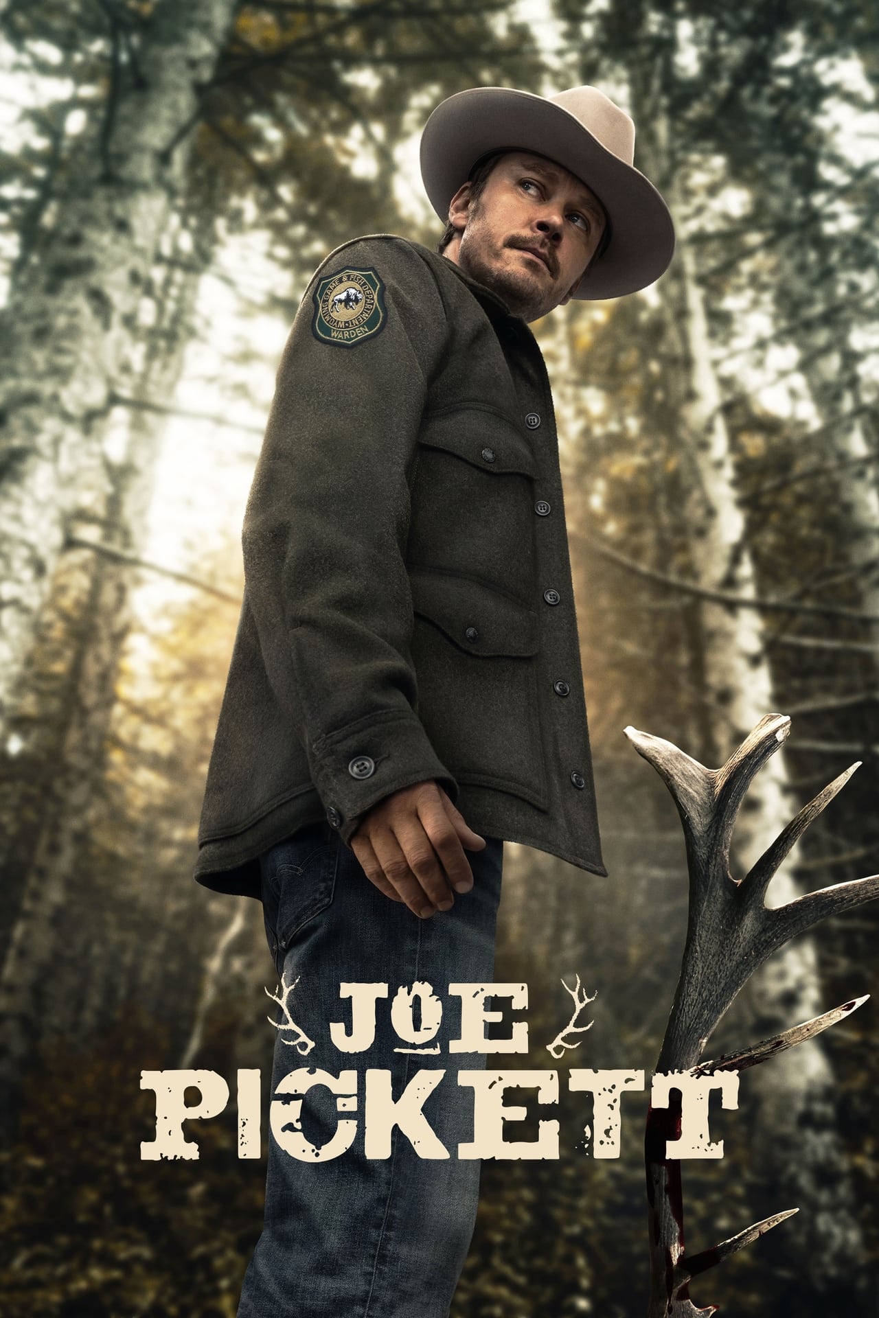 Serie Joe Pickett