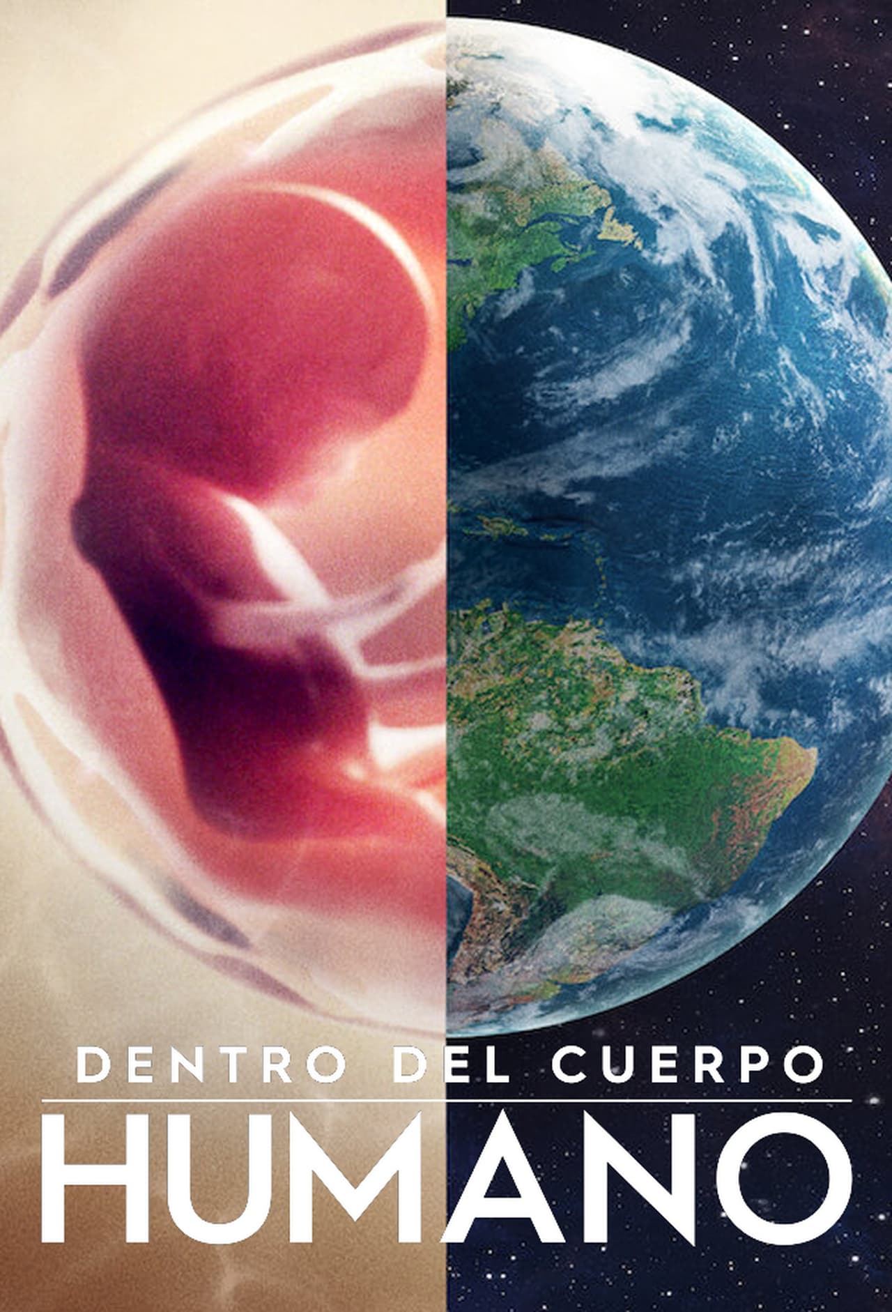 Serie Dentro del cuerpo humano