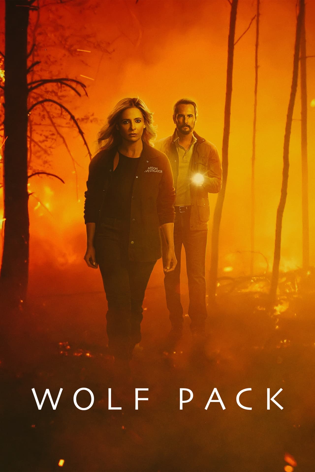 Serie Wolf Pack