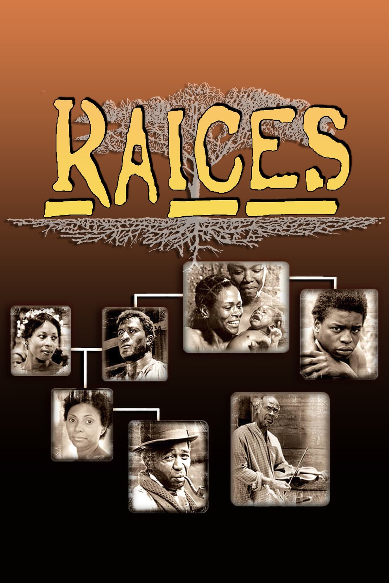 Series Raíces