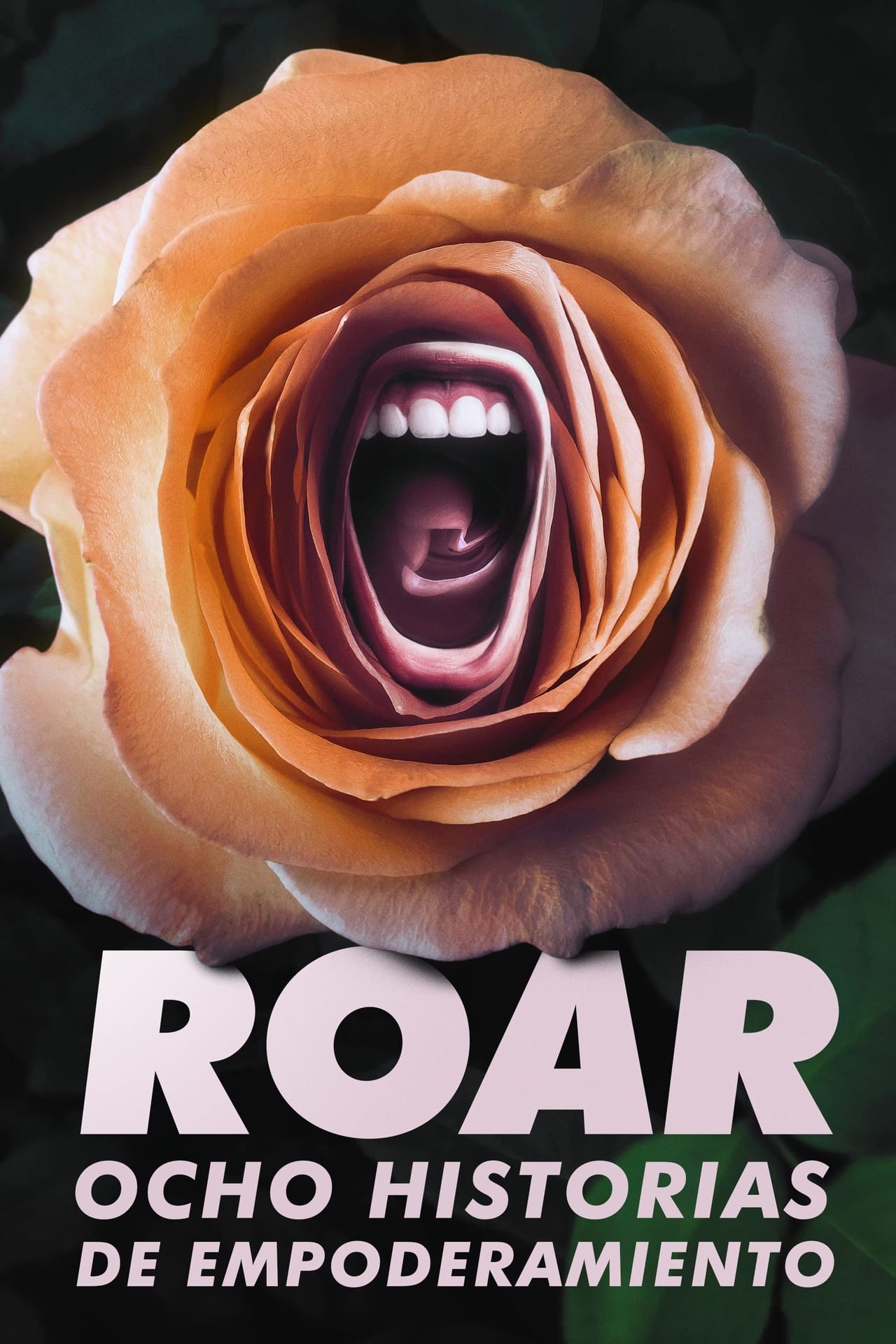 Series Roar