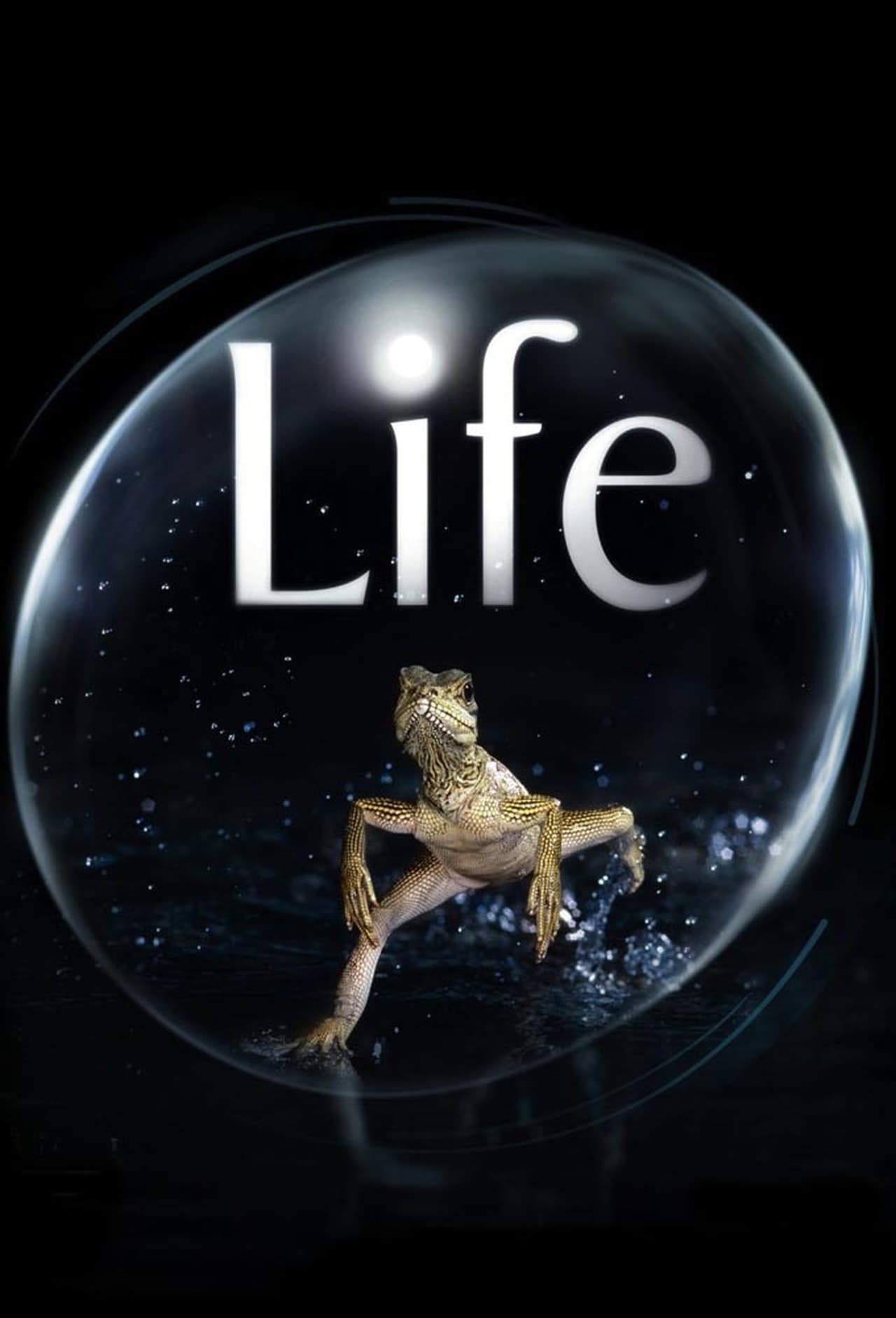 Serie Life