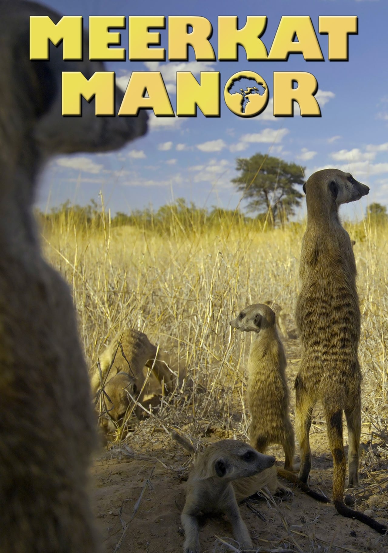 Series Meerkat Manor