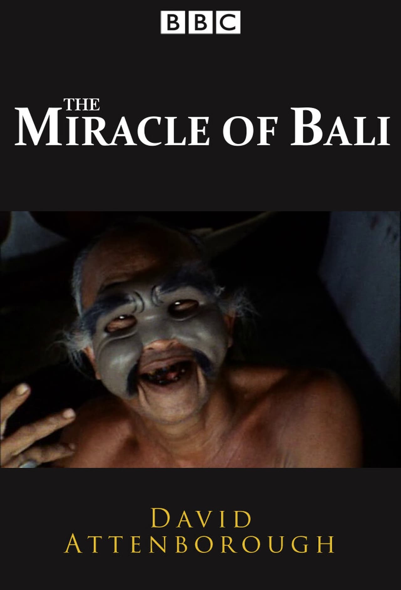 Serie The Miracle of Bali