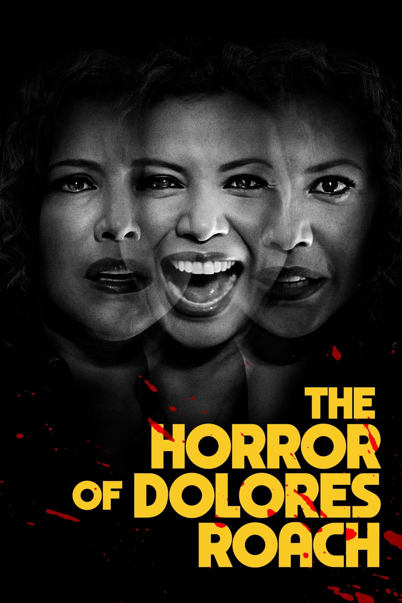 Series El horror de Dolores Roach