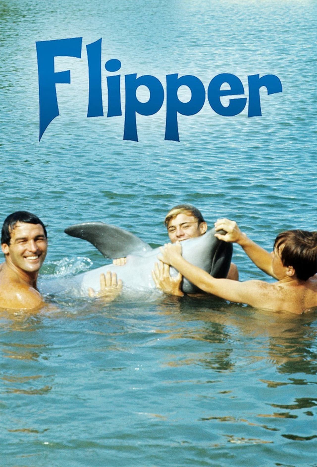 Serie Flipper