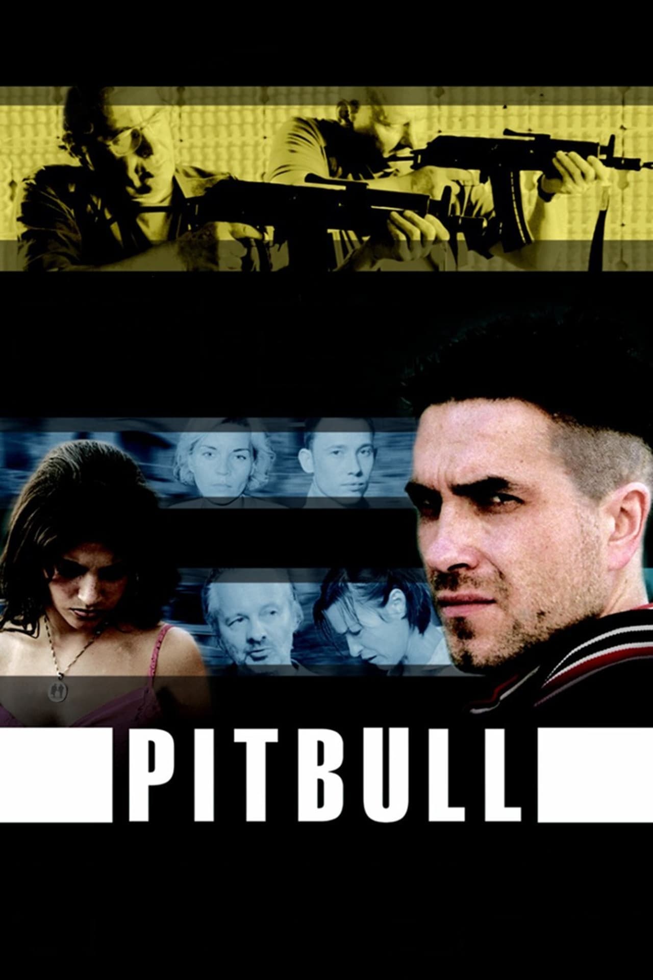 Series Pitbull