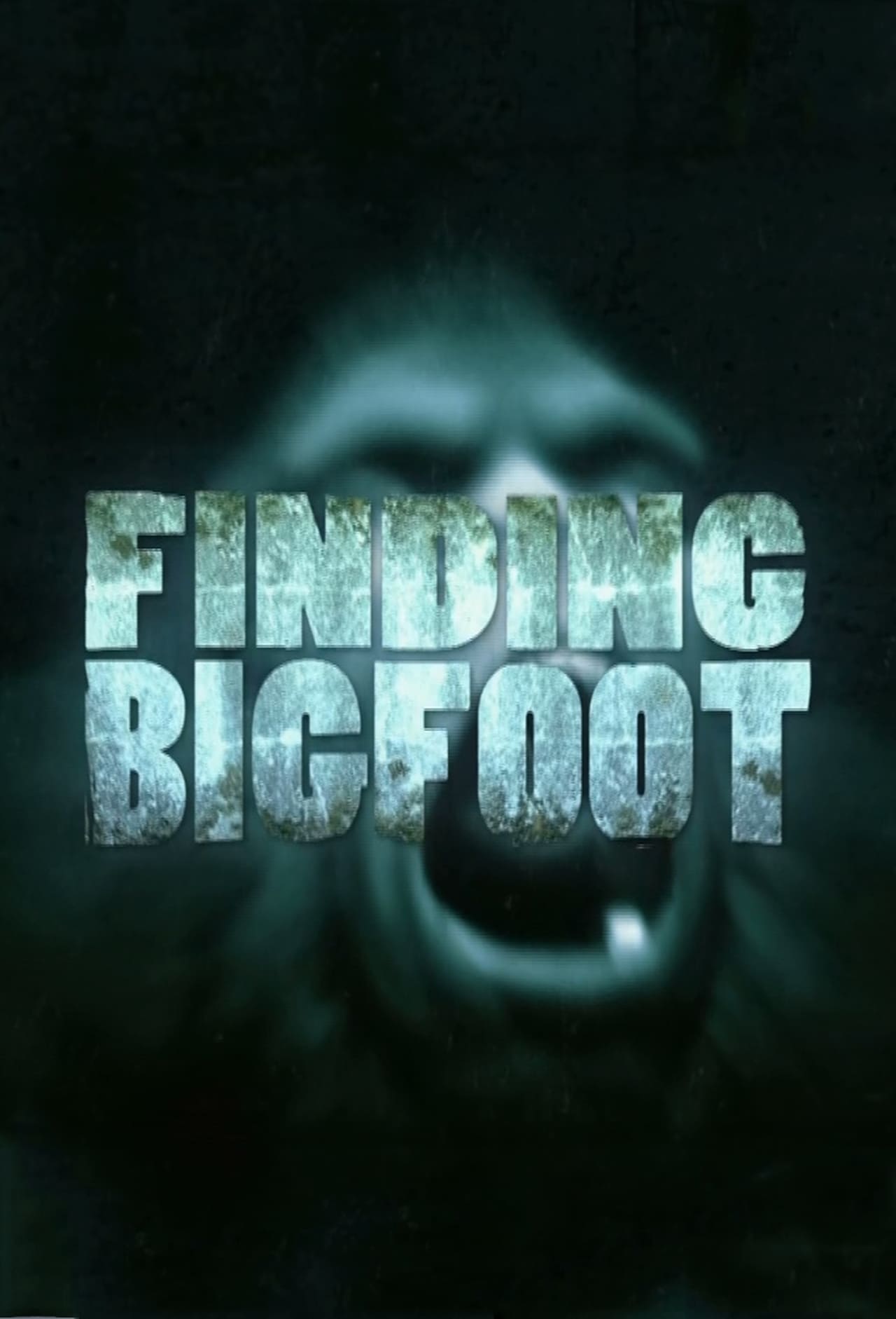 Series Finding Bigfoot