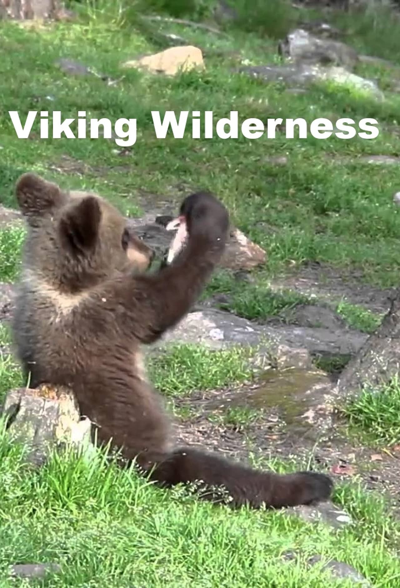 Serie Viking Wilderness