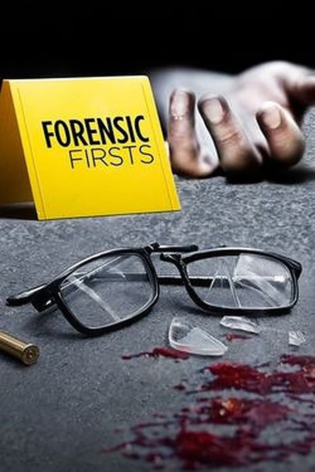 Serie Forensic Firsts