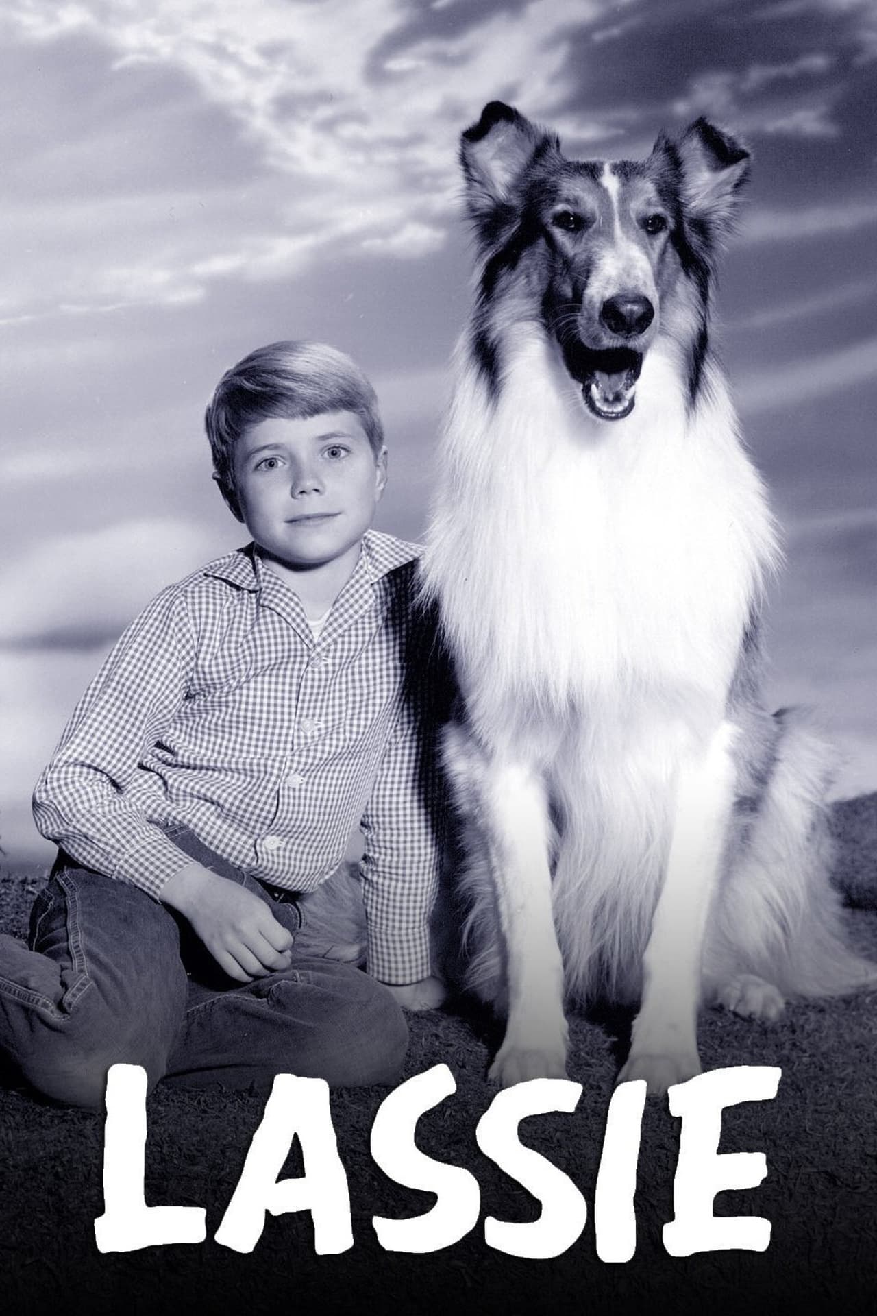 Serie Lassie