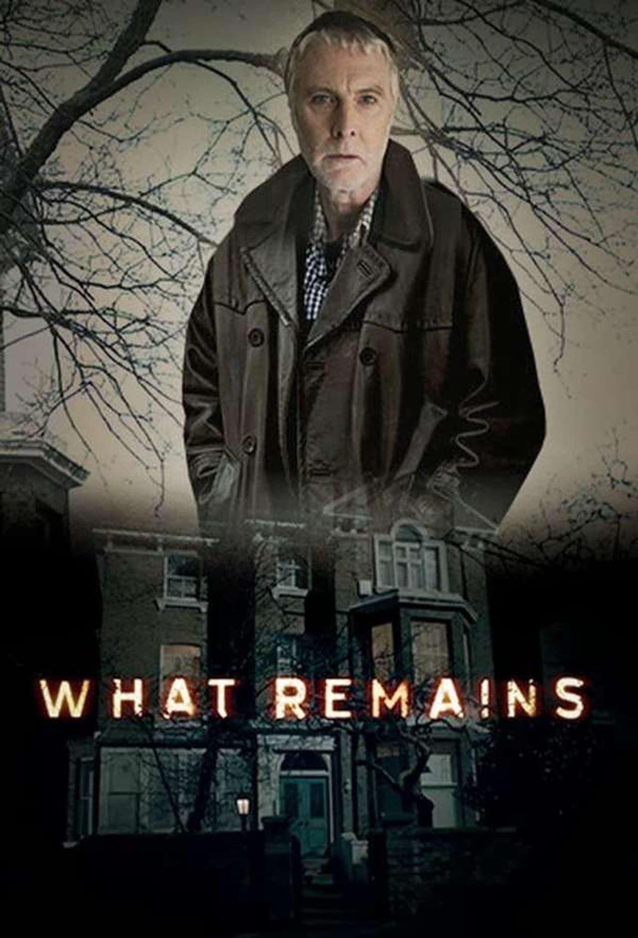 Serie Lo que queda en el desván