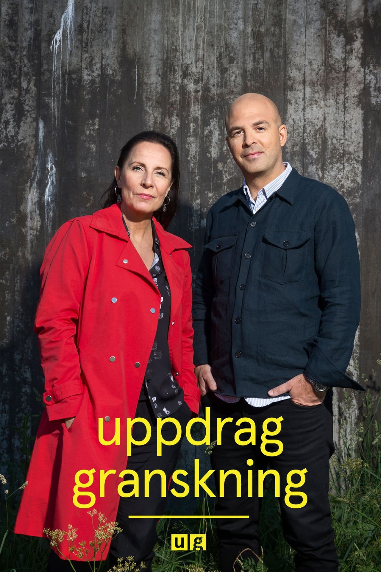 Serie Uppdrag granskning
