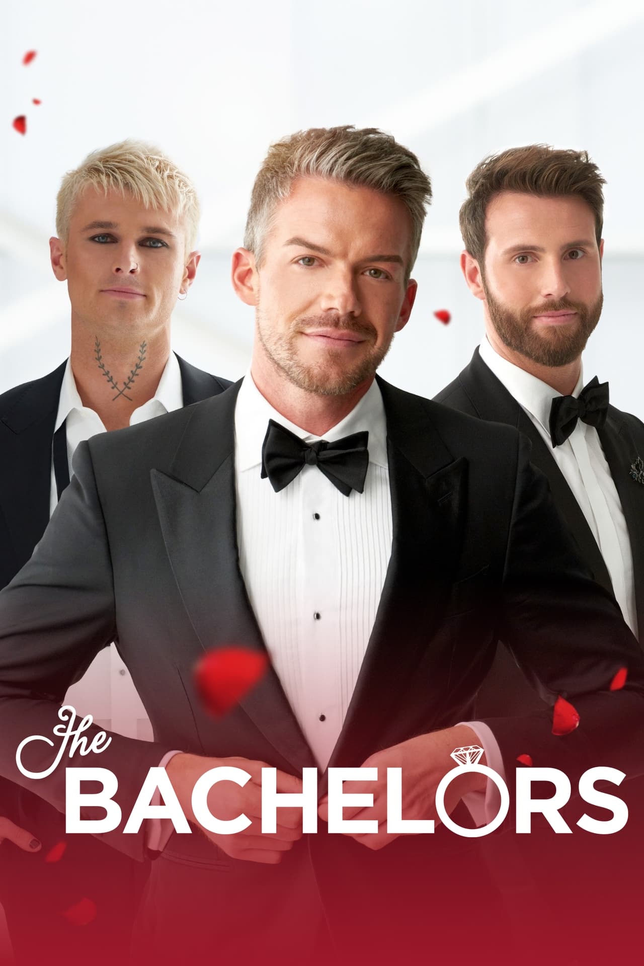 Serie The Bachelor