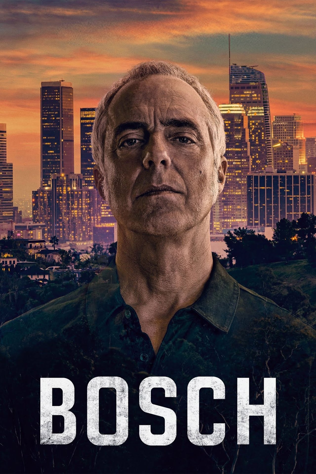 Serie Bosch