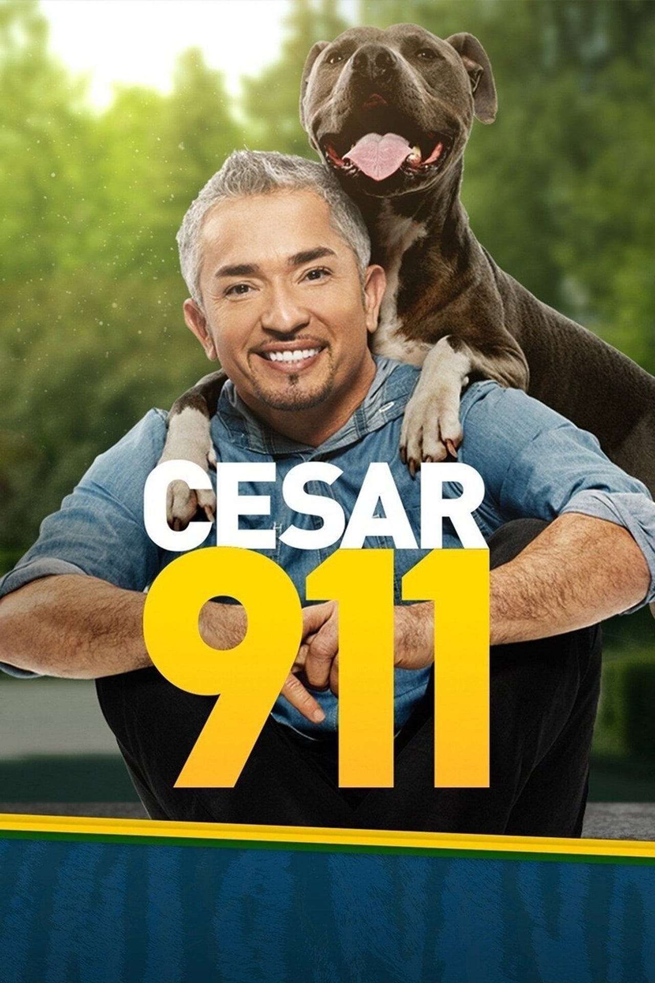 Series Cesar 911