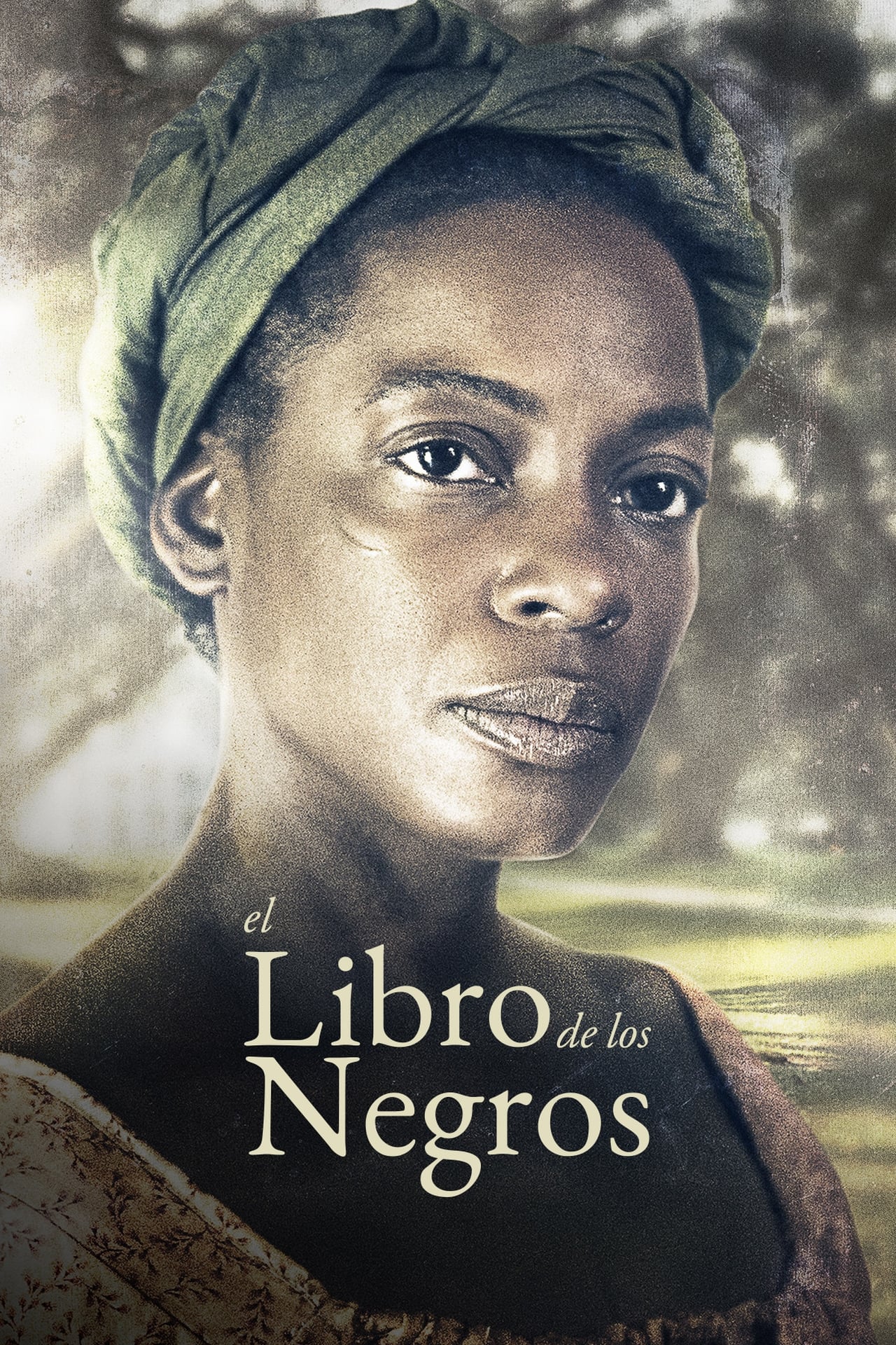 Series El libro de los negros