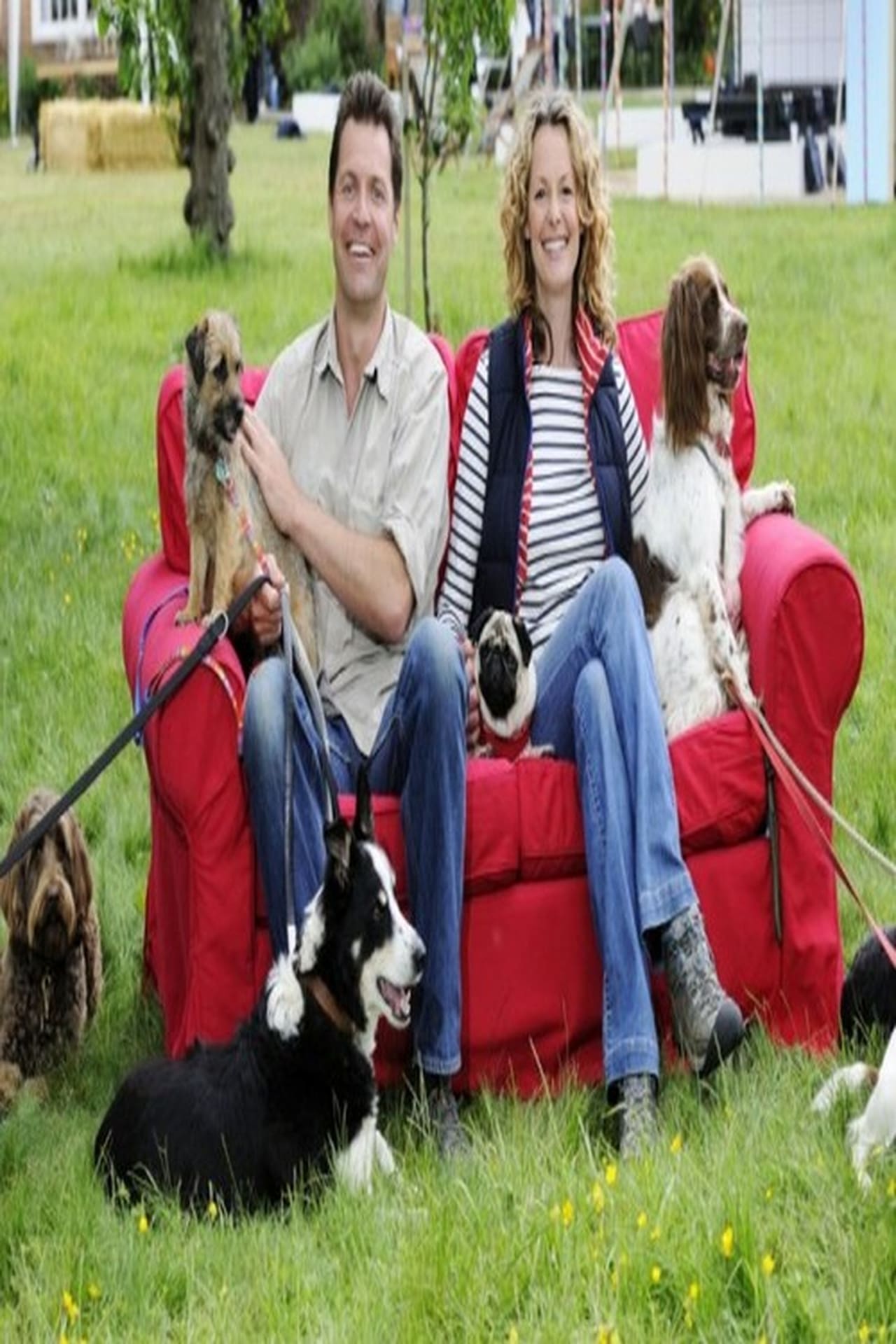 Serie The Wonder of Dogs