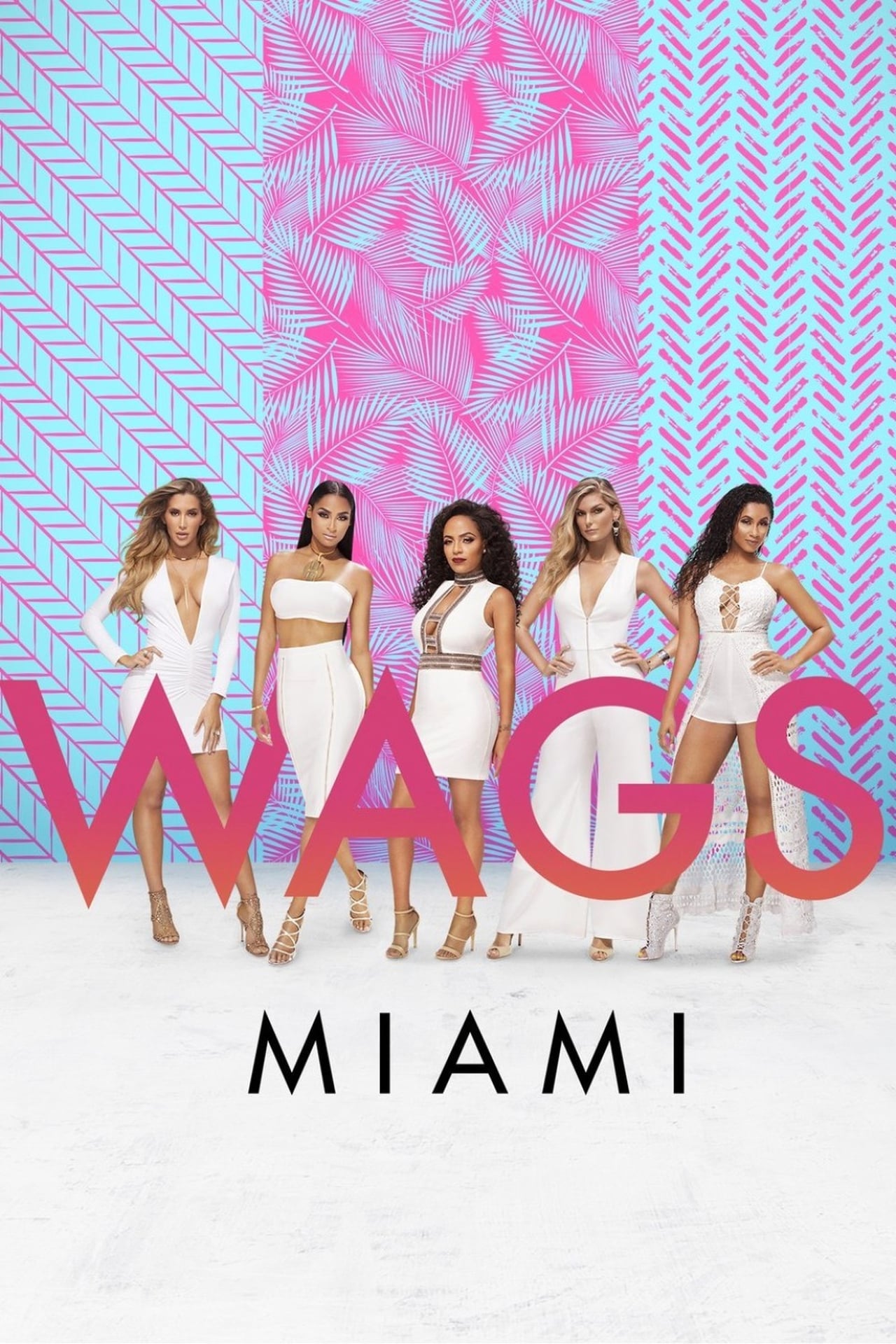 Serie WAGS Miami