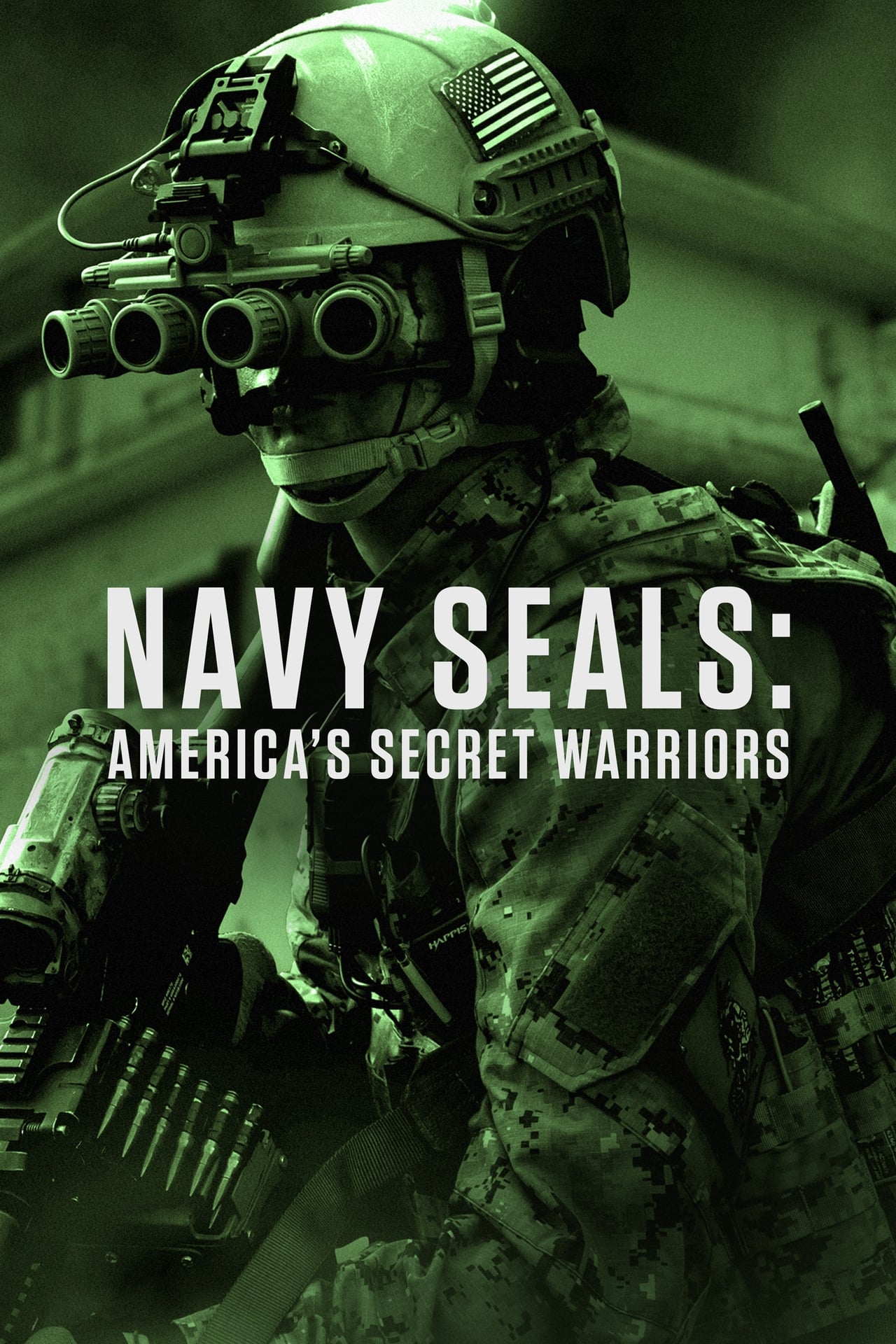 Series Navy SEALs: America's Secret Warriors