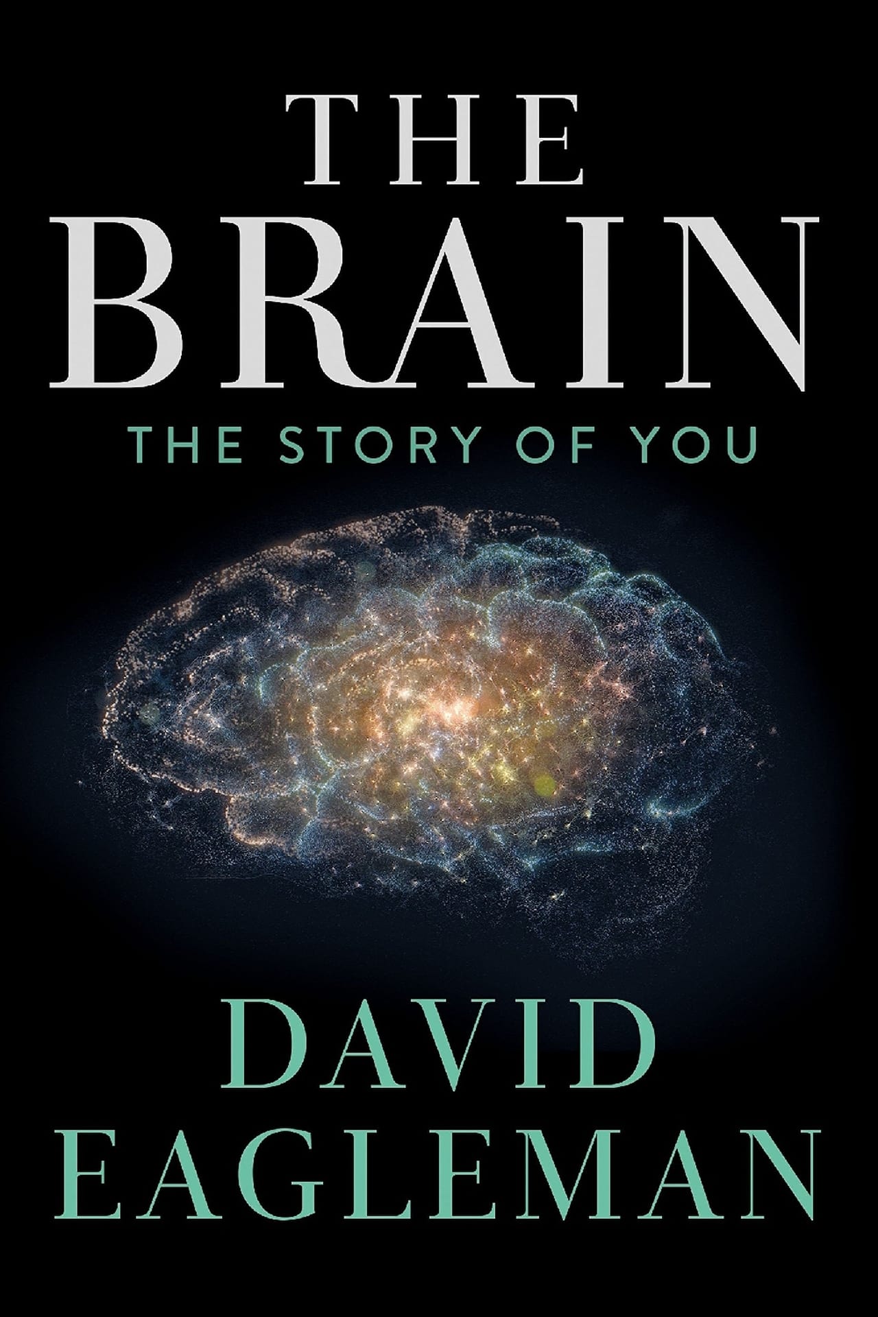 Serie El cerebro con David Eagleman