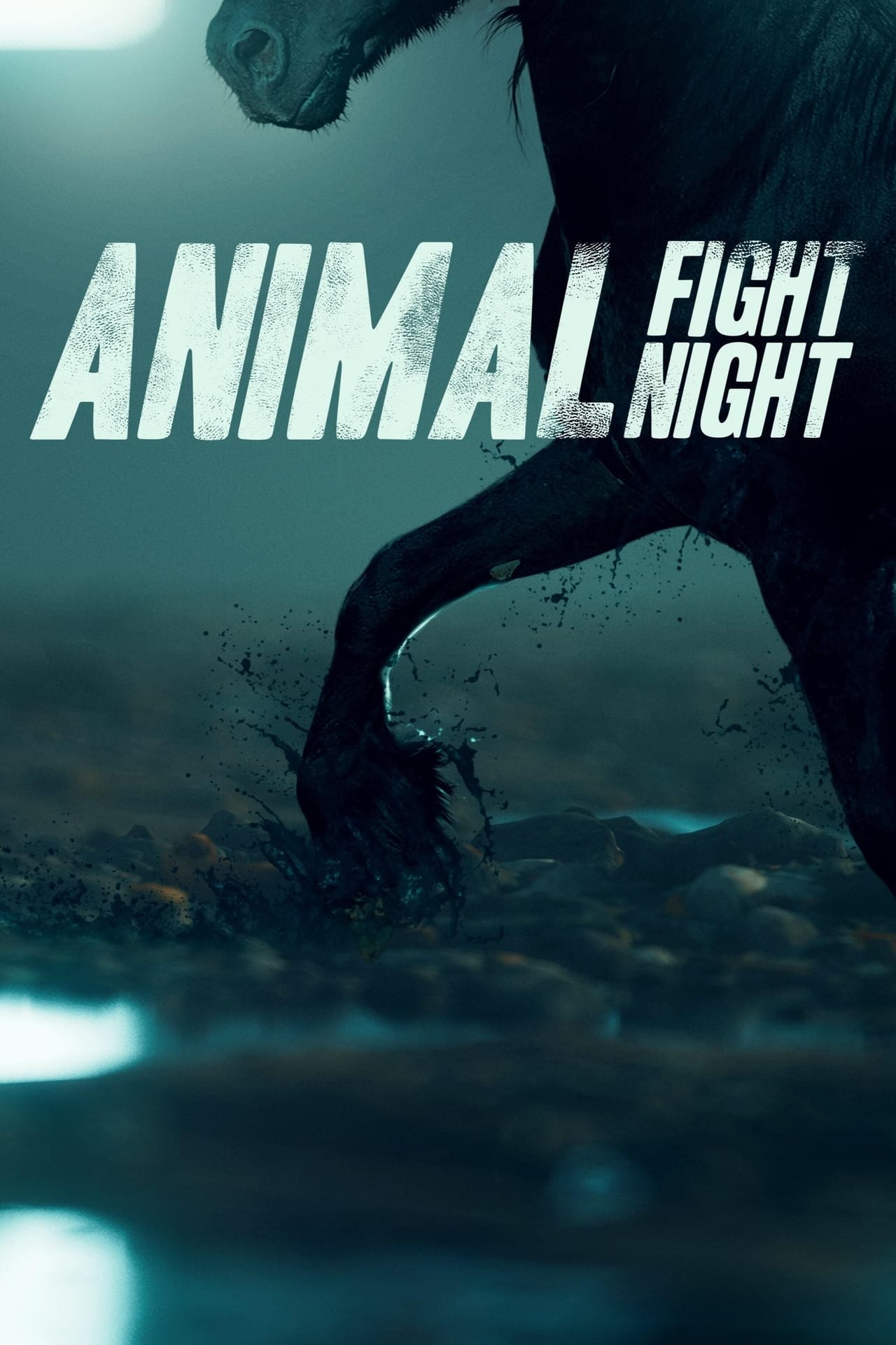 Serie Animal Fight Night