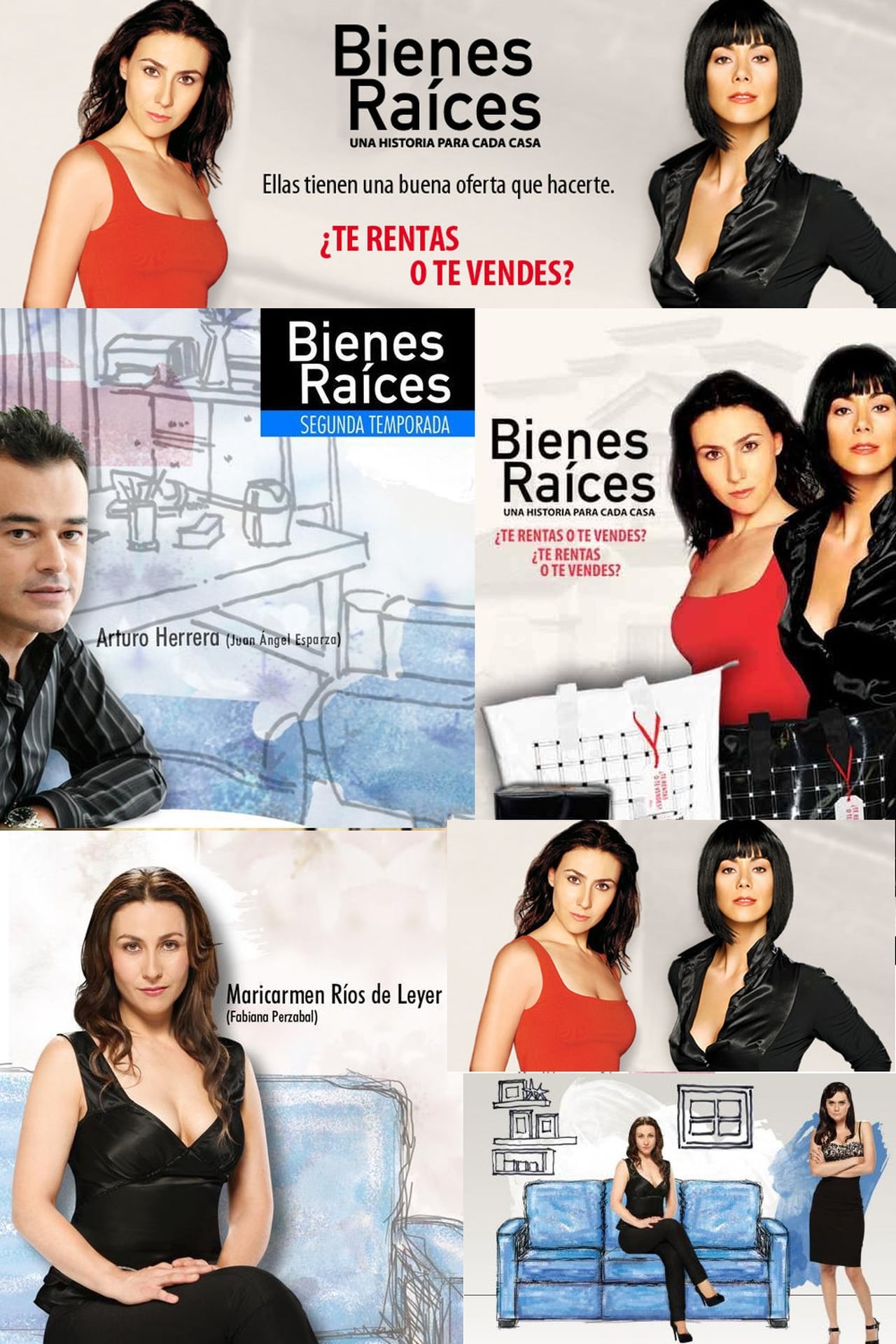 Serie Bienes raíces