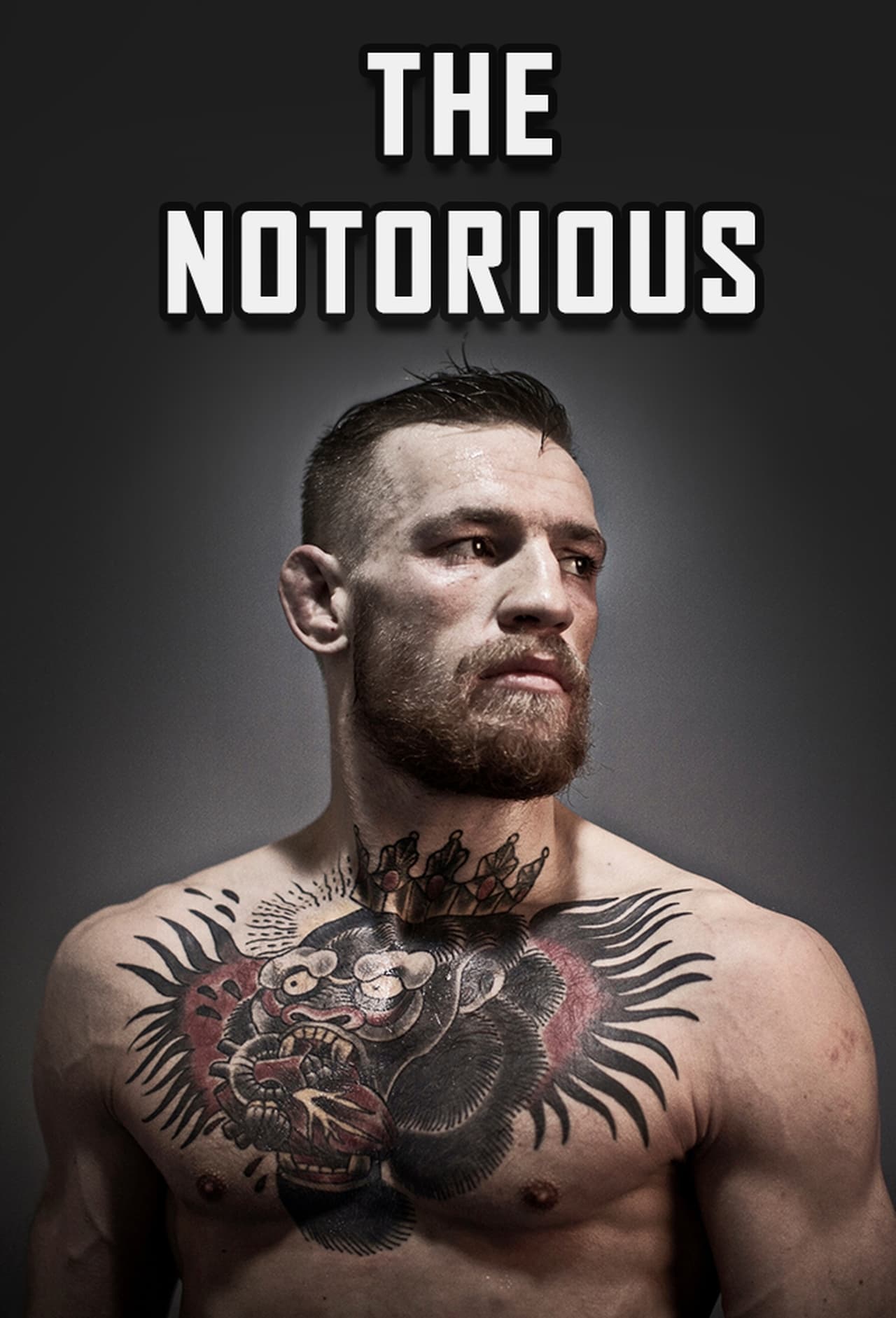 Series The Notorious