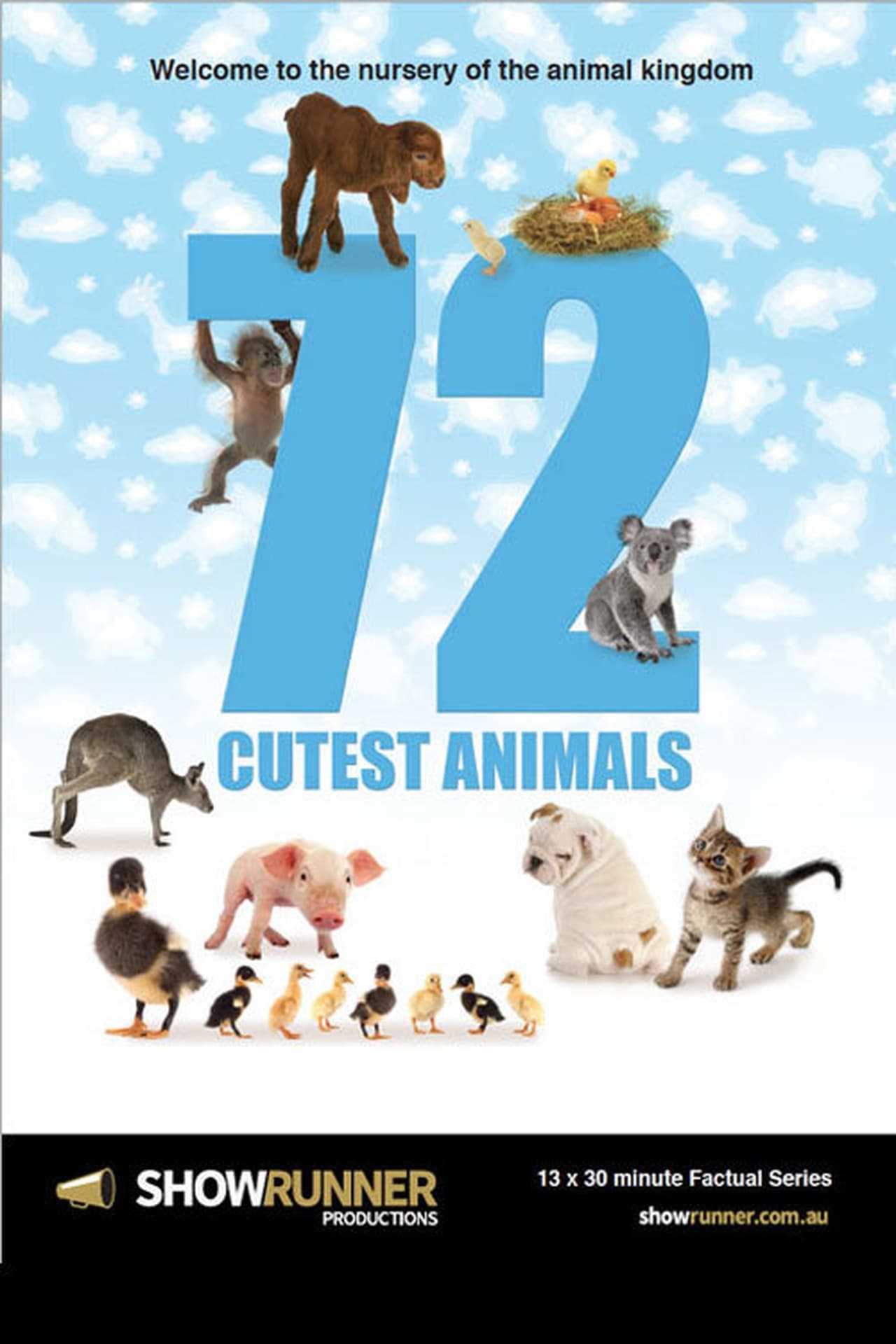 Series 72 Cutest Animals