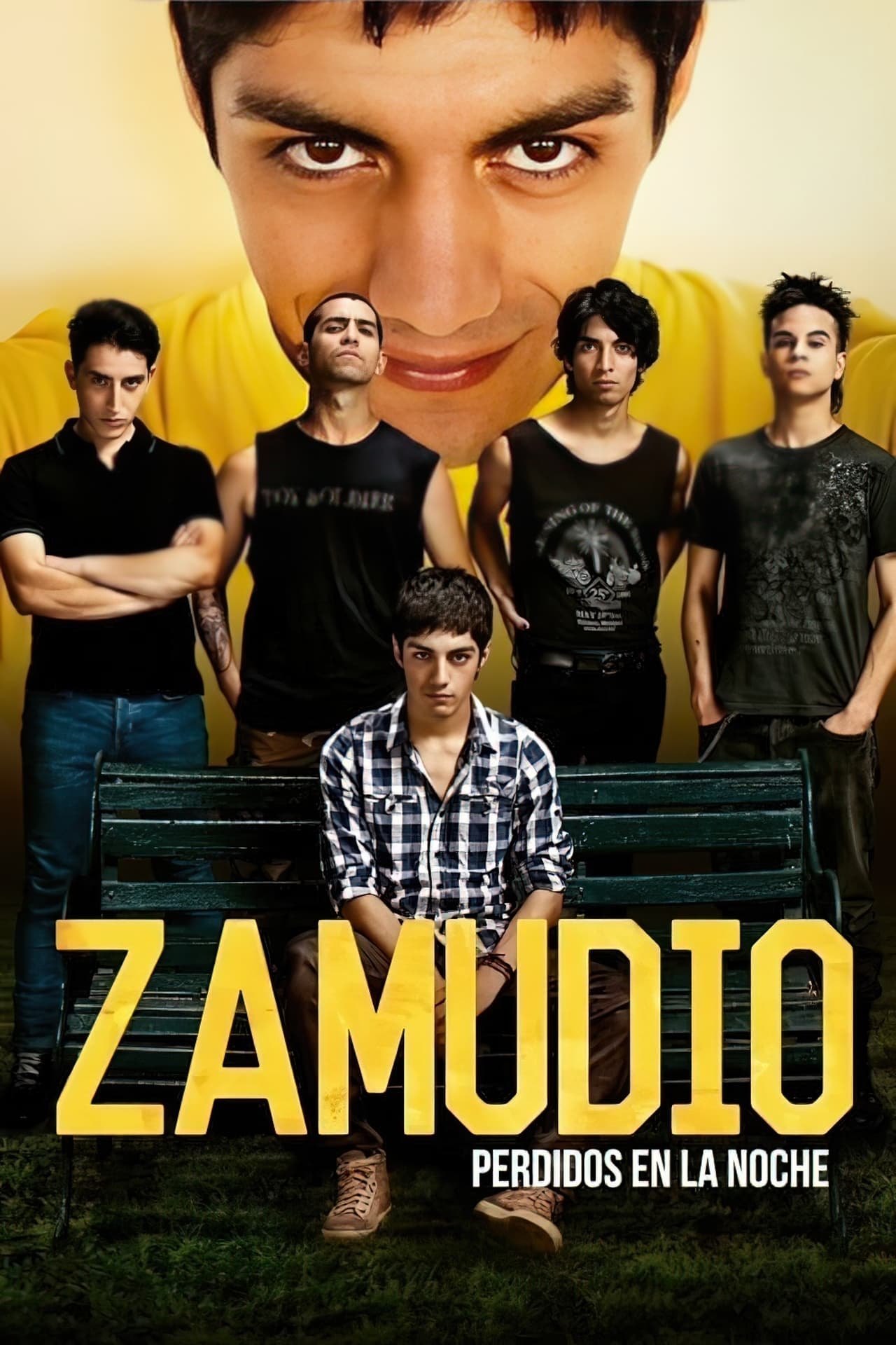 Serie Zamudio