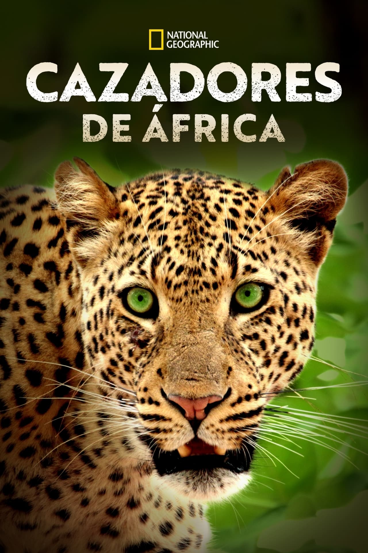 Serie Cazadores de África