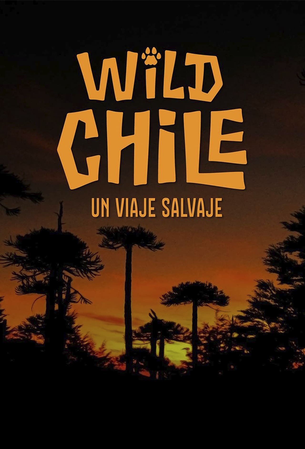 Serie Wild Chile: Un viaje salvaje