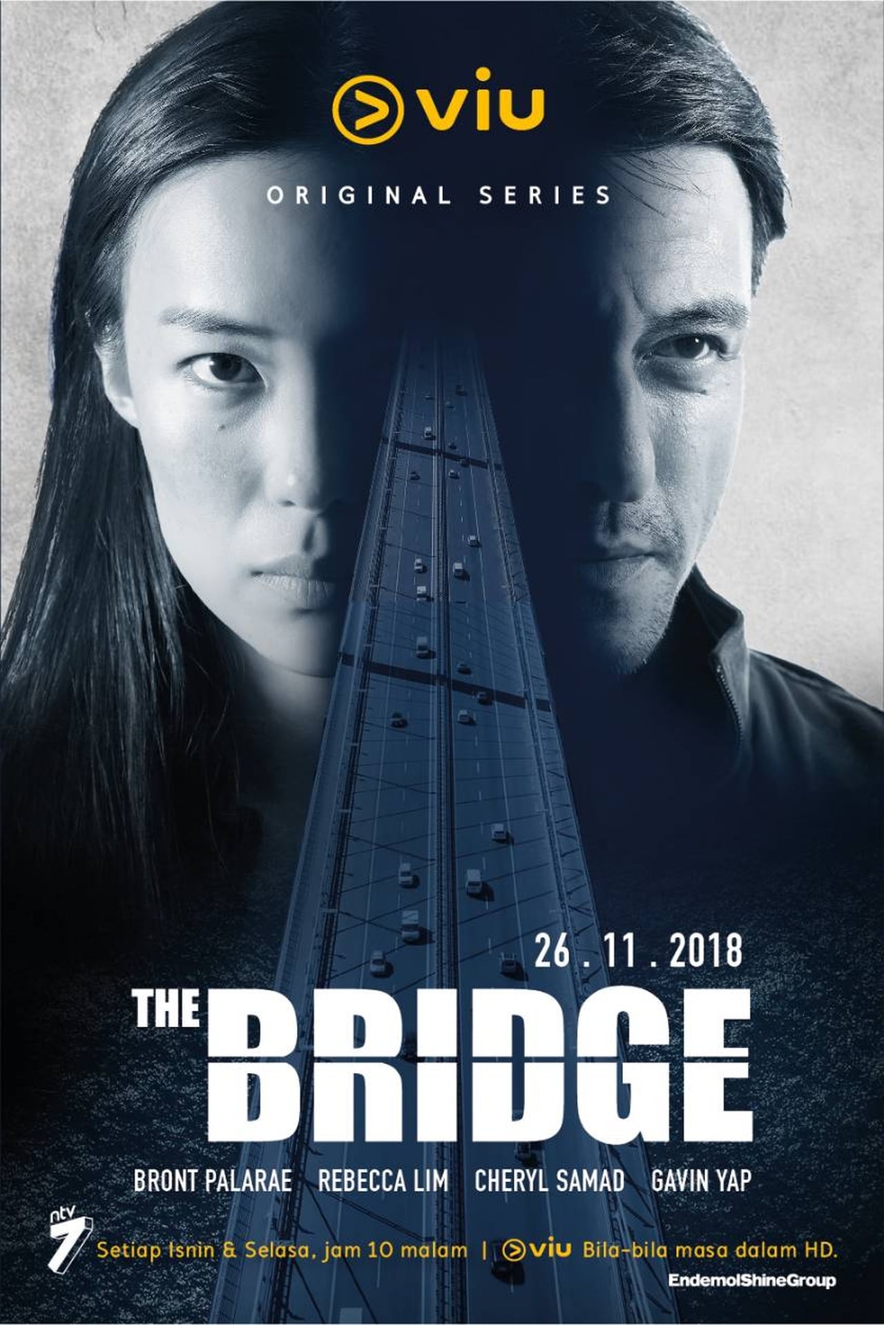 Serie The Bridge