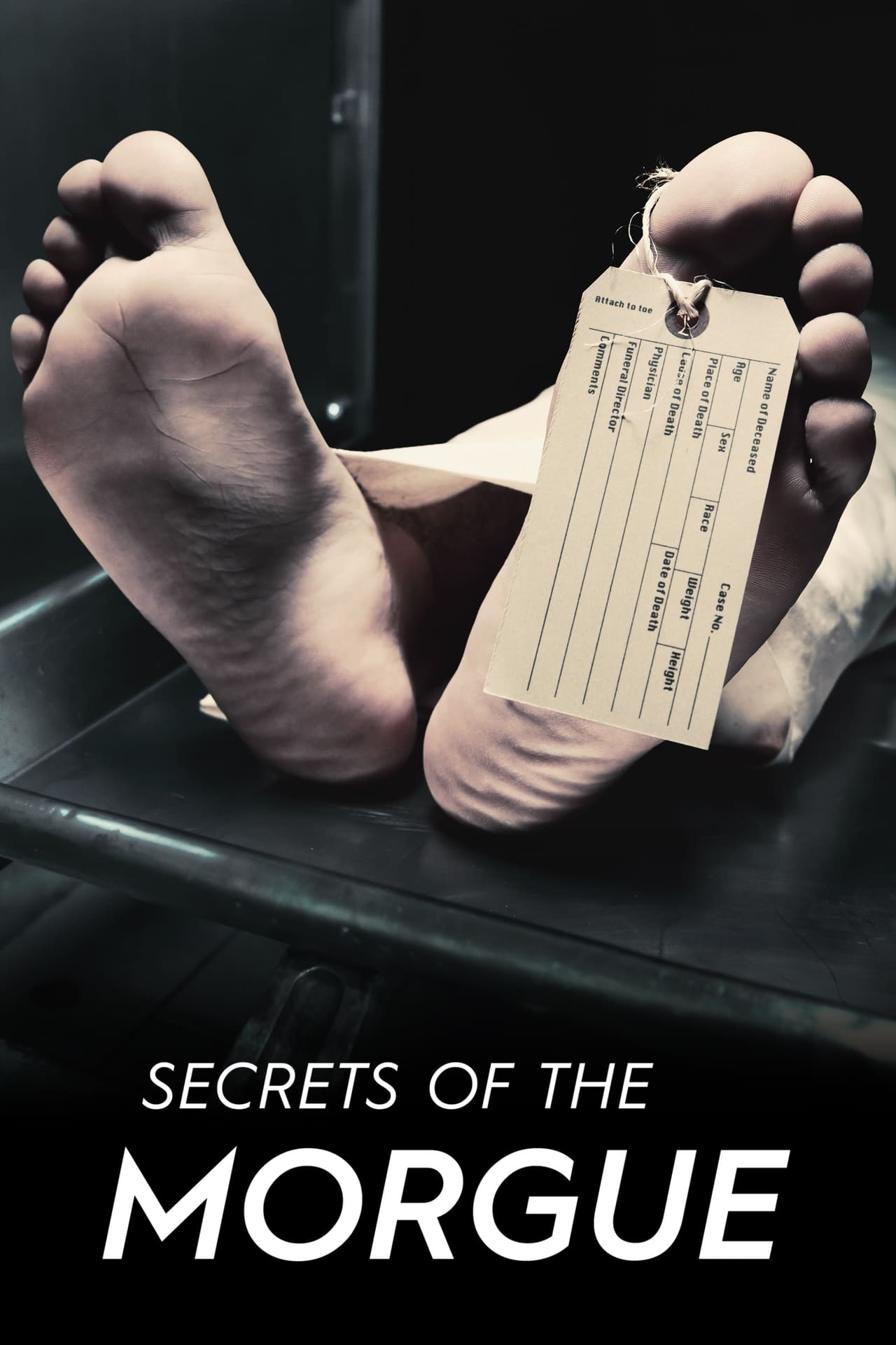 Series Secrets of the Morgue